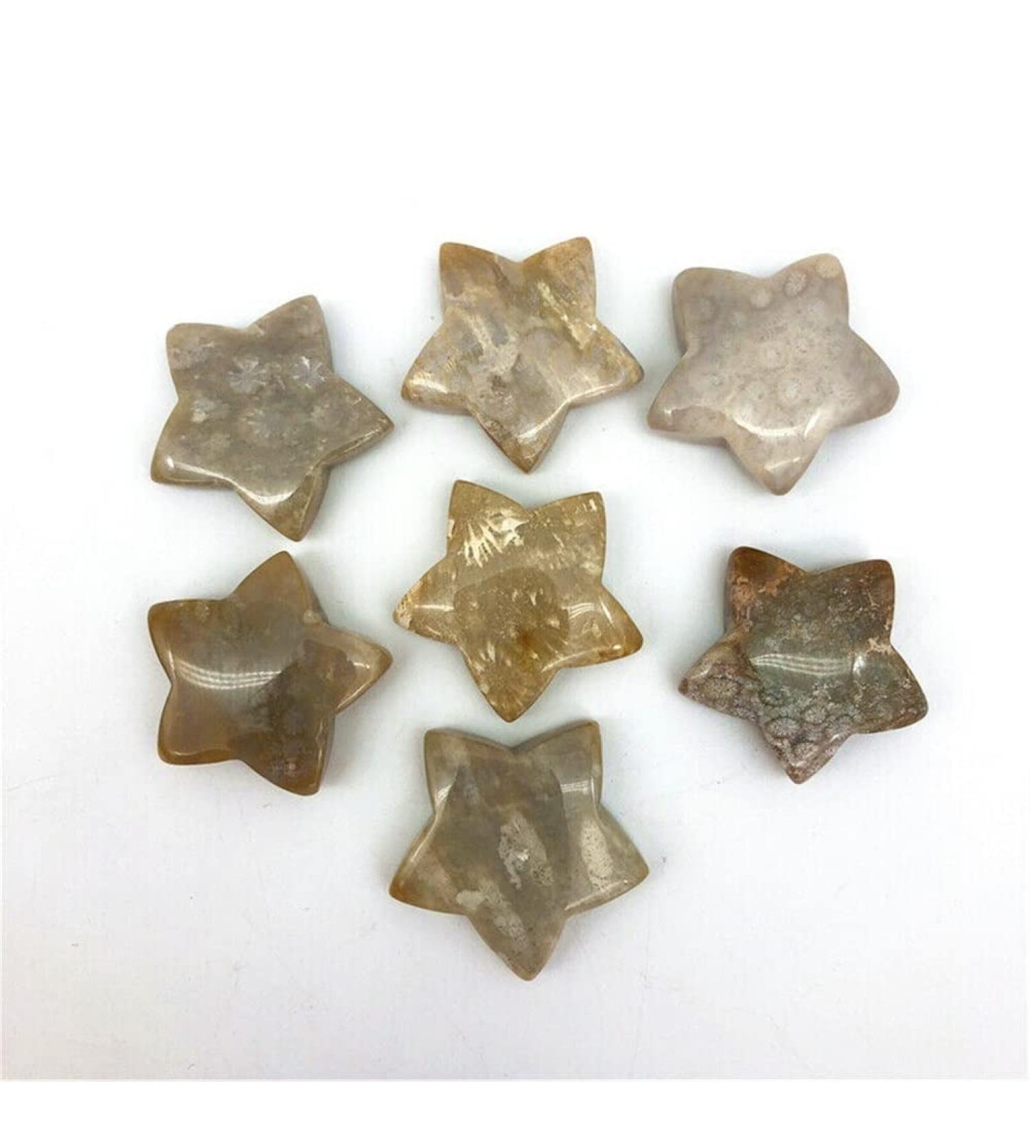 1 Piece Natural Coral Ammonite Star Crystal Stone Suitable for Home Chakra Reiki Balancing - Buy Online on GoSupps.com
