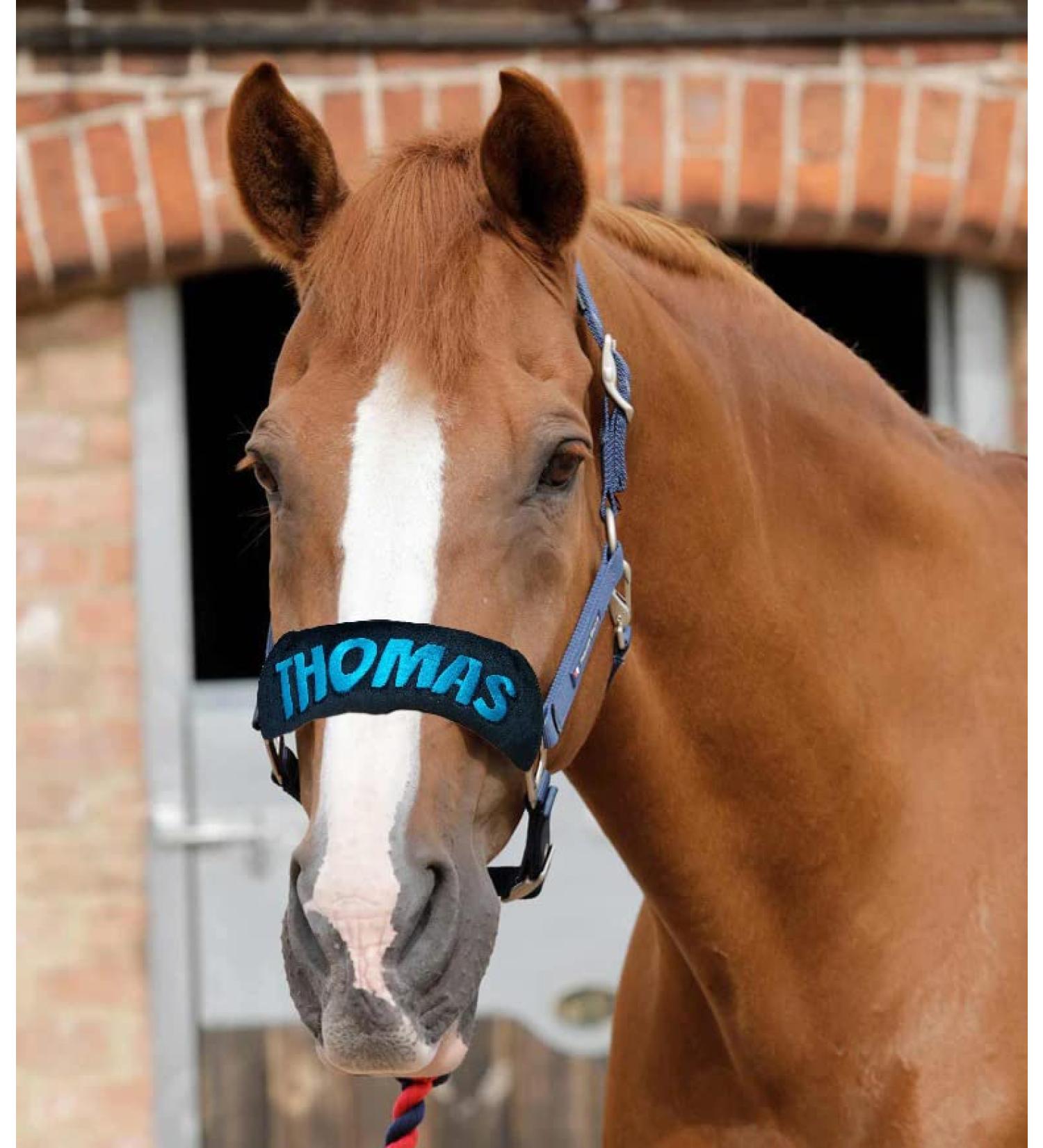 Personalized Padded Headcollar Cover for Horse Pony Full Cob - Nose Band Bridle Cover - Buy Online on GoSupps.com