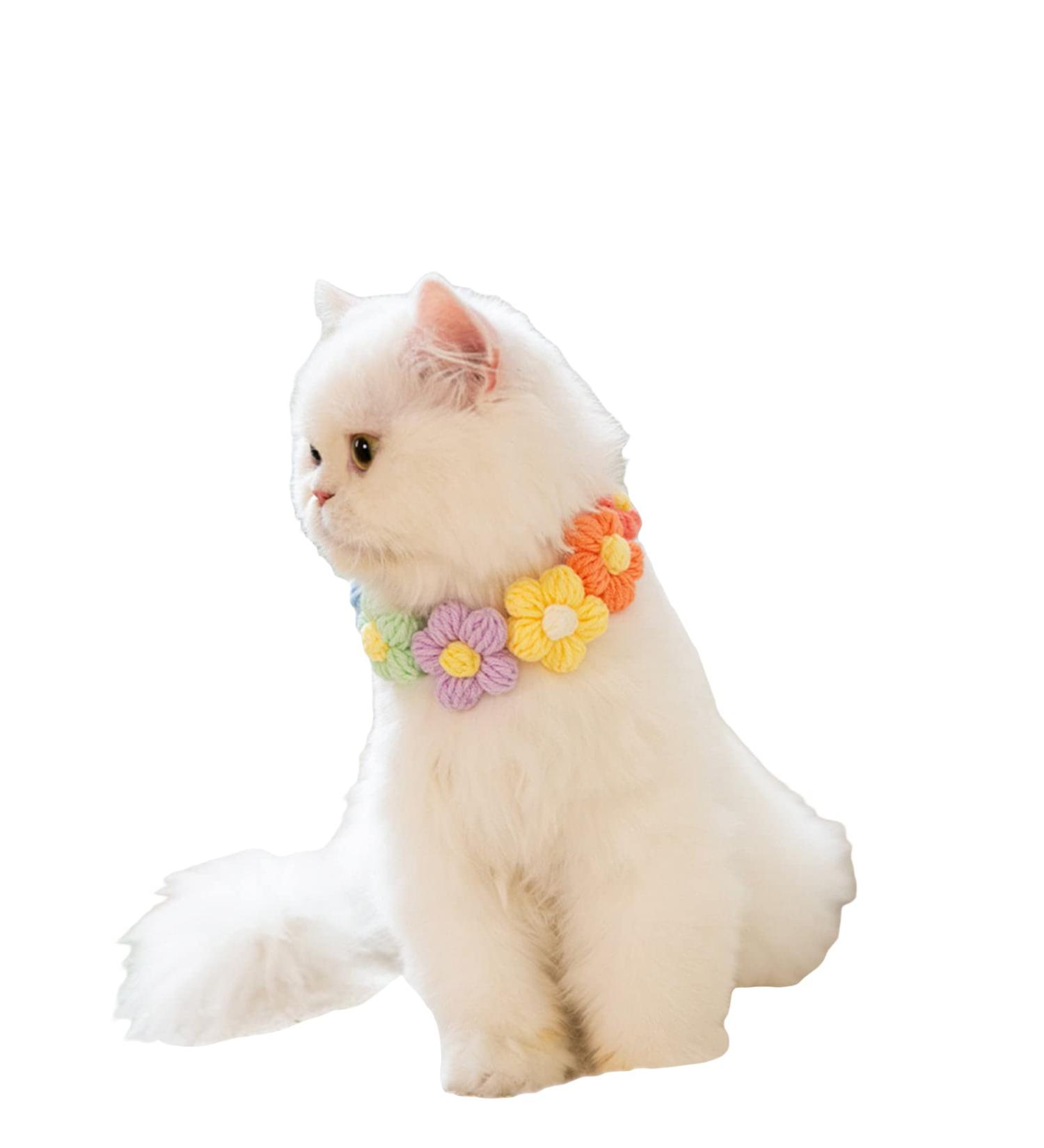 QWINEE Flower Decor Dog Collar - Cute Necklace for Small to Medium Dogs - Multicolor - S - Buy Online on GoSupps.com