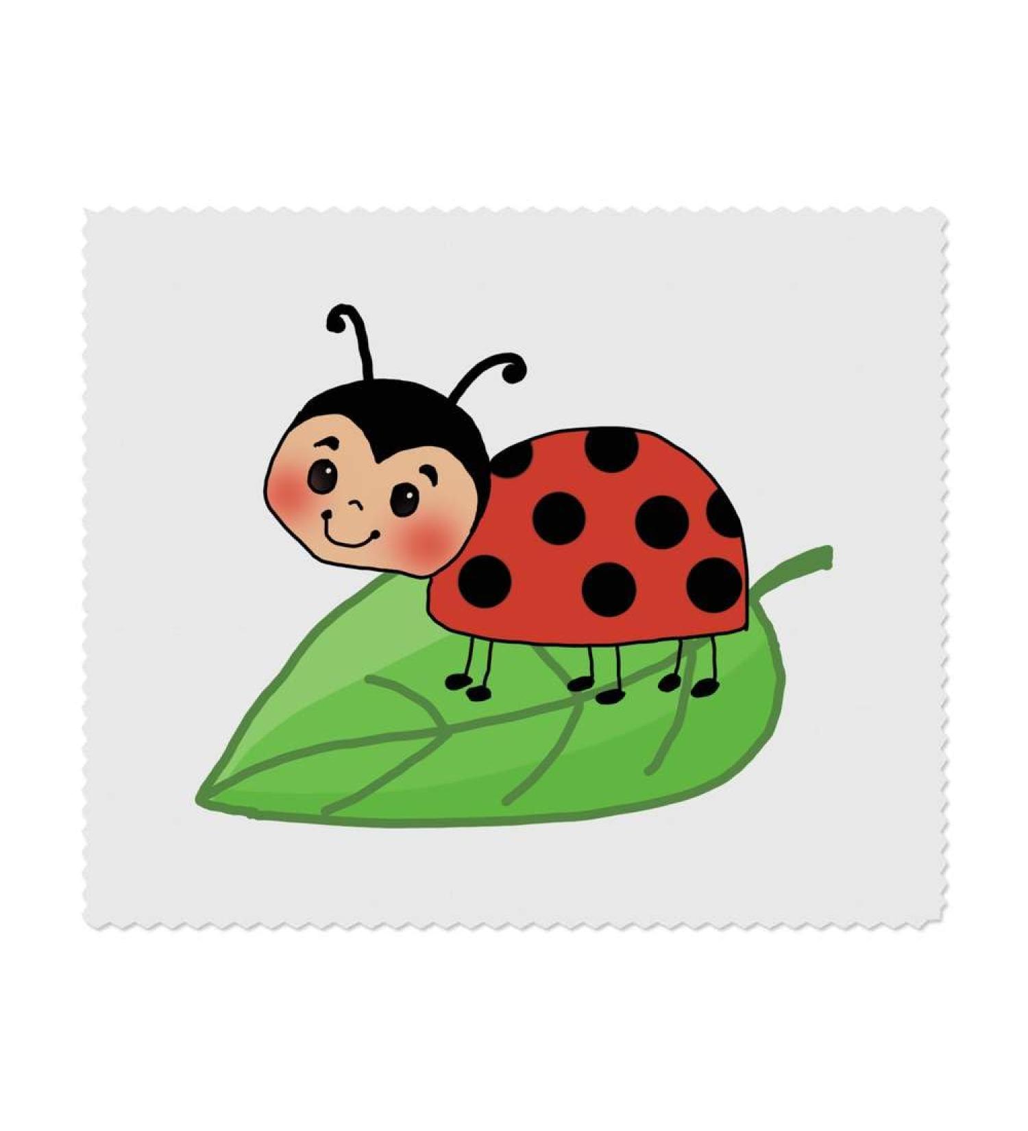 2 x Ladybug Microfiber Cleaning Cloths - Ultra-Soft & Durable | International Shipping - Buy Online on GoSupps.com