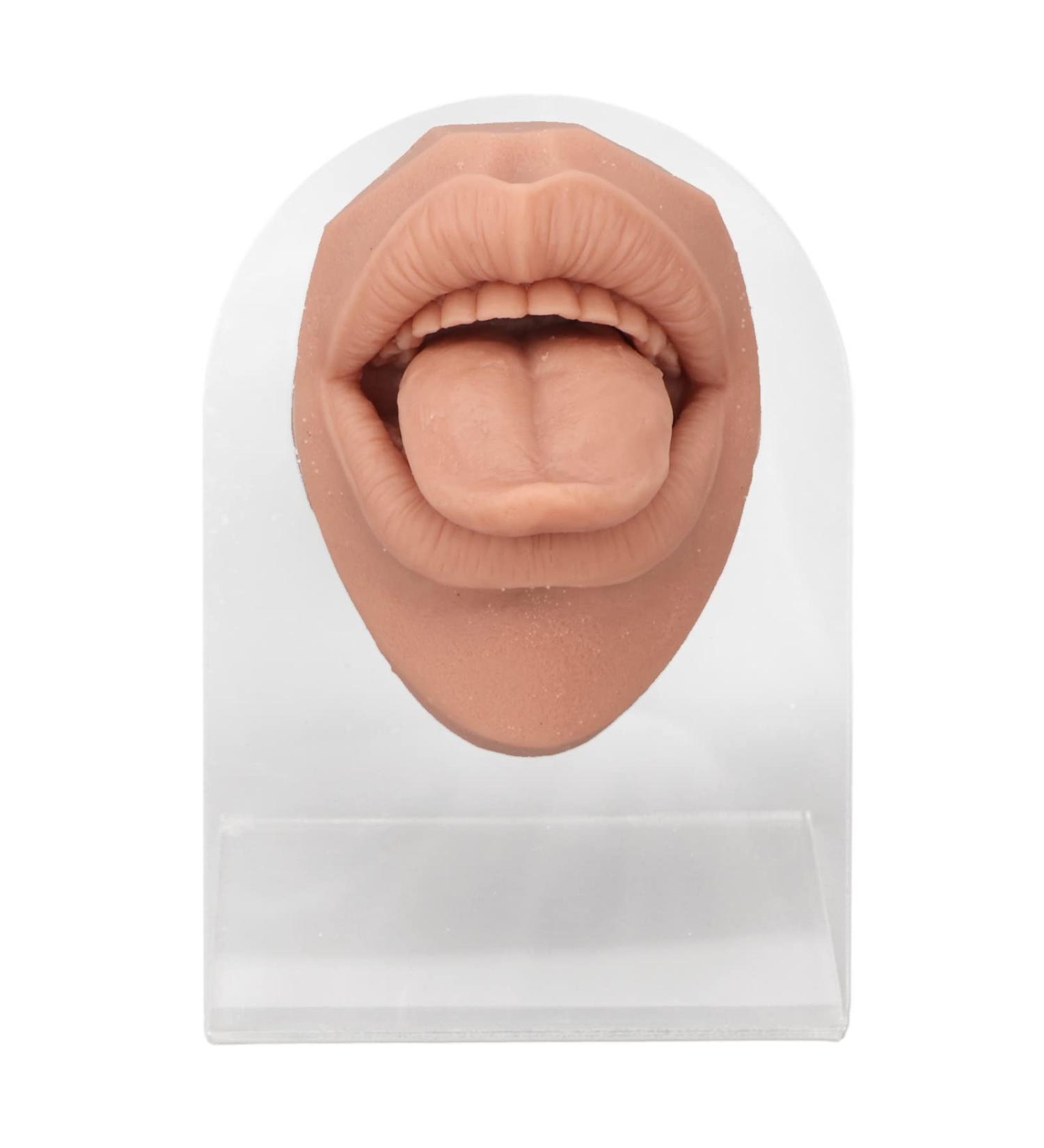 Soft Silicone Tongue Model - Realistic Fake Tongue for Piercing Practice & Jewelry Display - Flexible Human Mouth Shape with Teeth - Buy Online on GoSupps.com