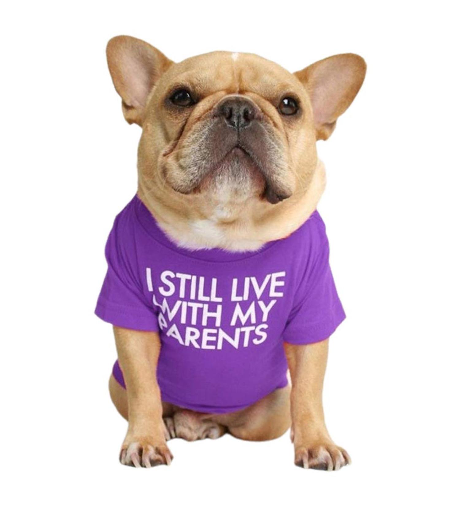 Junhouse Bulldog Clothes Pet Clothing Puppy T-shirt Spring Summer Soft Comfy Breathable Quick Dry Dog Outfit Pullover For Small Medium Large Puppy Dogs (L Purple) L Purple - Buy Online on GoSupps.com