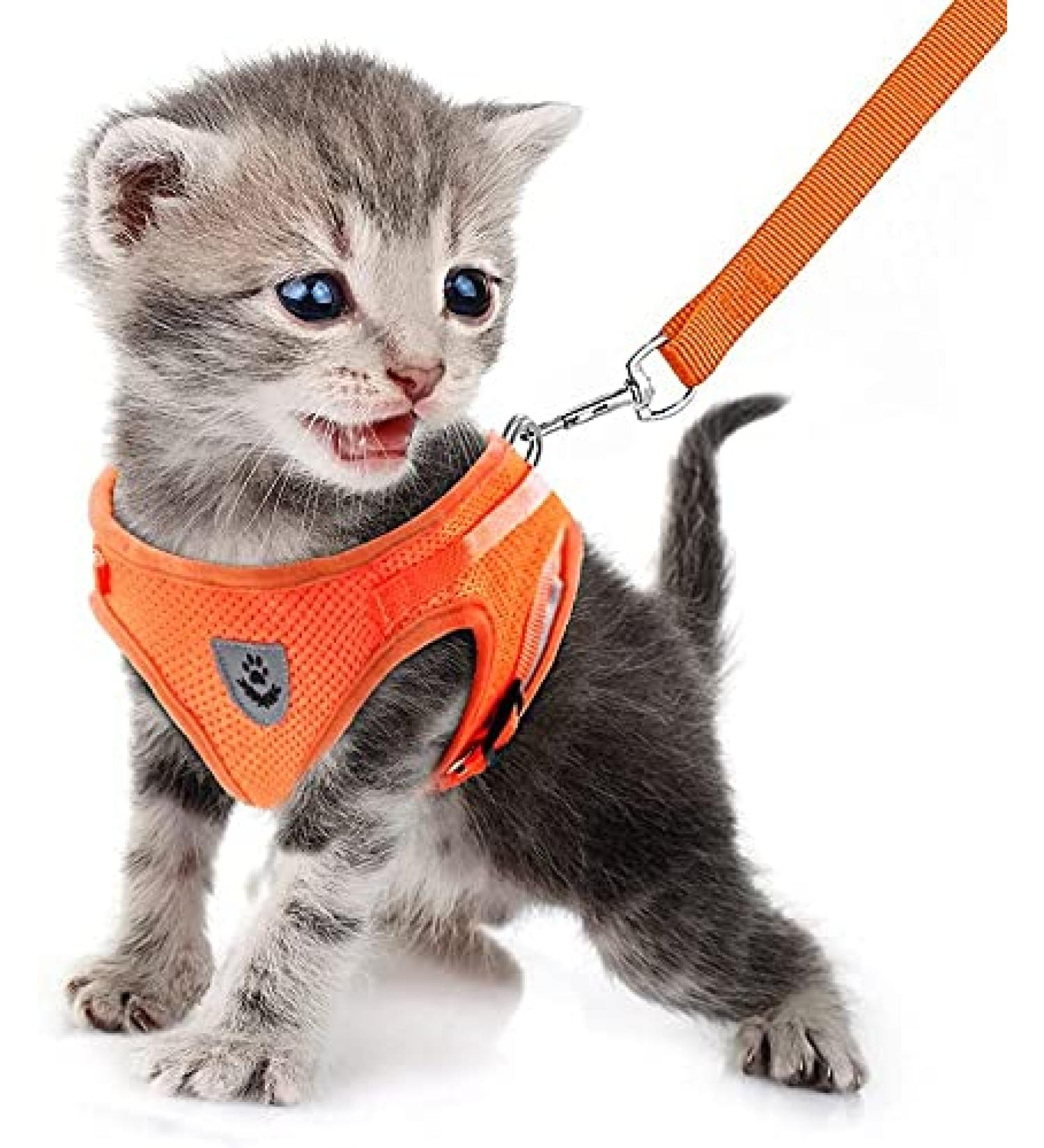 Buy Femax Dog Harness & Linen Set - Soft Mesh Padded for Puppies & Cats Reflective Adjustable Breathable Breastplate for Walking Running Training - XS (26-29 cm) Orange - Buy Online on GoSupps.com