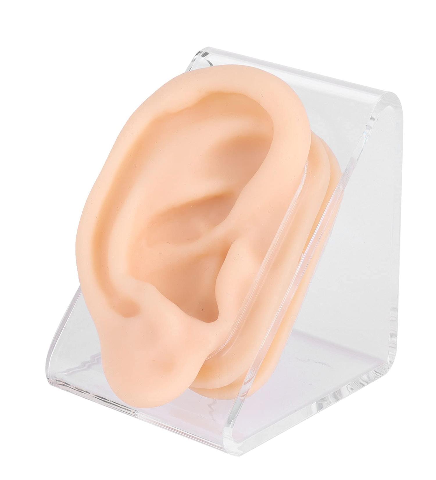 Acupuncture Ear Model - Soft Silicone Fake Ear for Earring Display & Jewelry Training | Ideal for Acupuncture Apprenticeship - Buy Online on GoSupps.com
