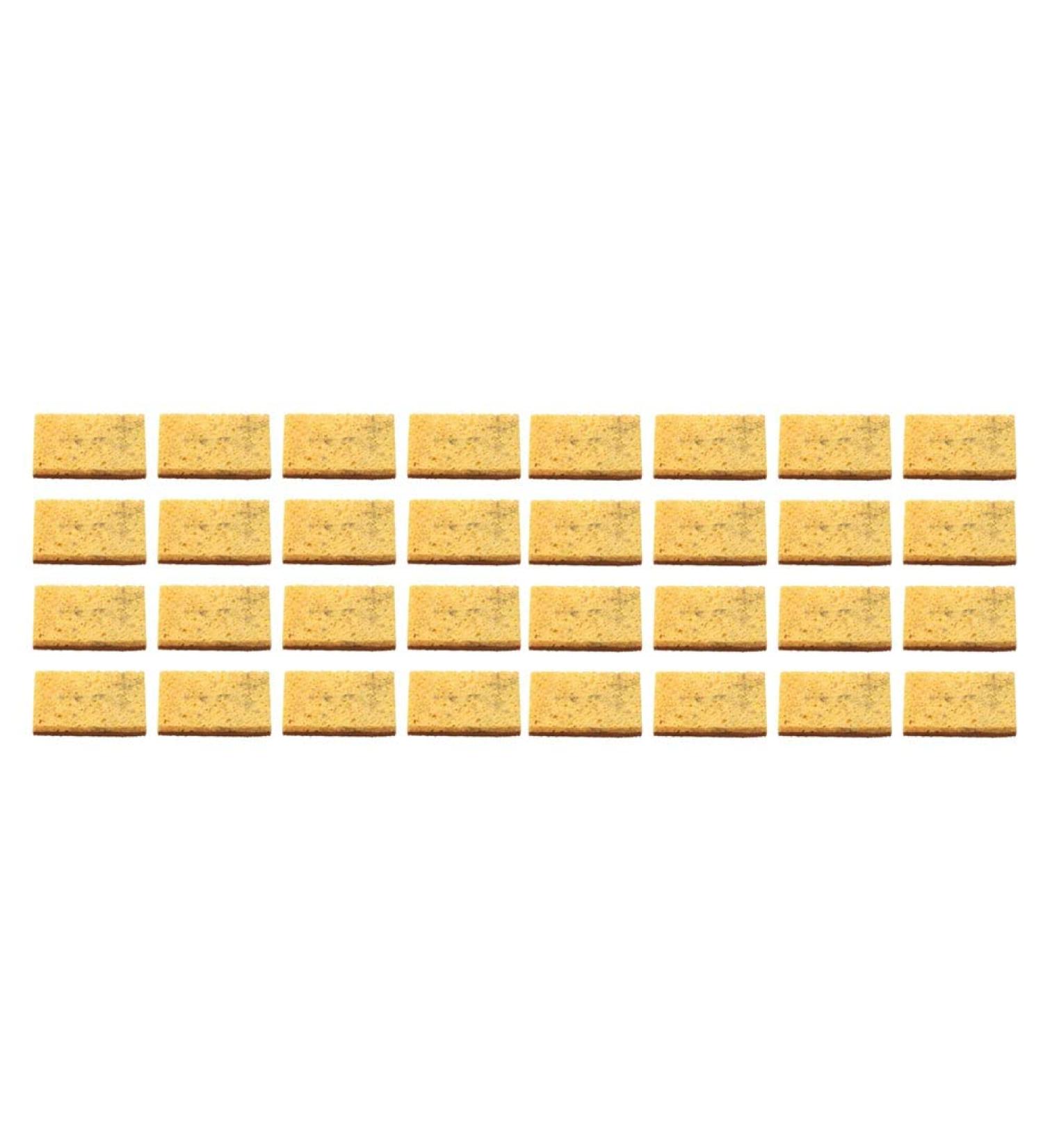 yuoseg 32Pcs Biodegradable and Compostable Sponges Scouring Pad Natural Coconut Pan Brush Palm Fiber Eco-Friendly Sponge for Kitchen Dishes Cleaning - Buy Online on GoSupps.com