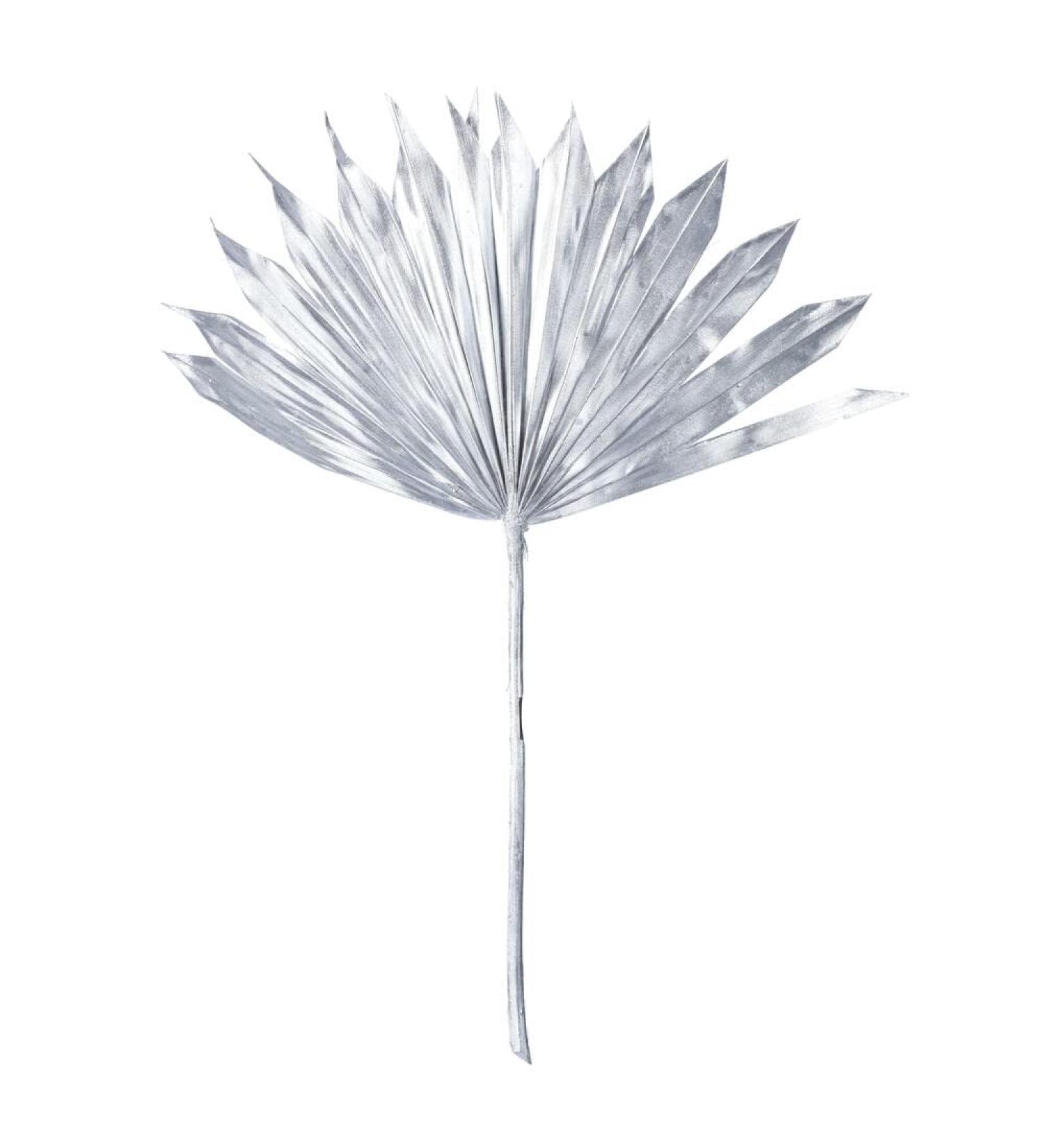 Vickerman Natural Botanicals 13.75-19.5" Metallic Silver Dried Palm Sun Spear 12 per Bag. - Buy Online on GoSupps.com