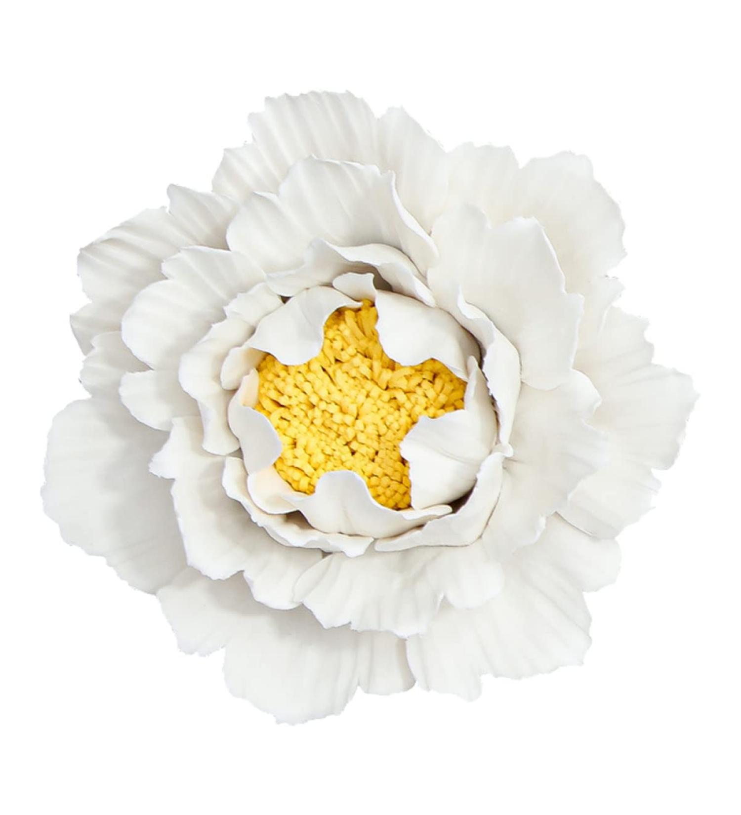 ORFOFE Wall Flower Sculpture 1Pc peony flower wall decoration home decoration Ceramic wall art Ceramic Flower Flower Wall White 7x7cm - Buy Online on GoSupps.com