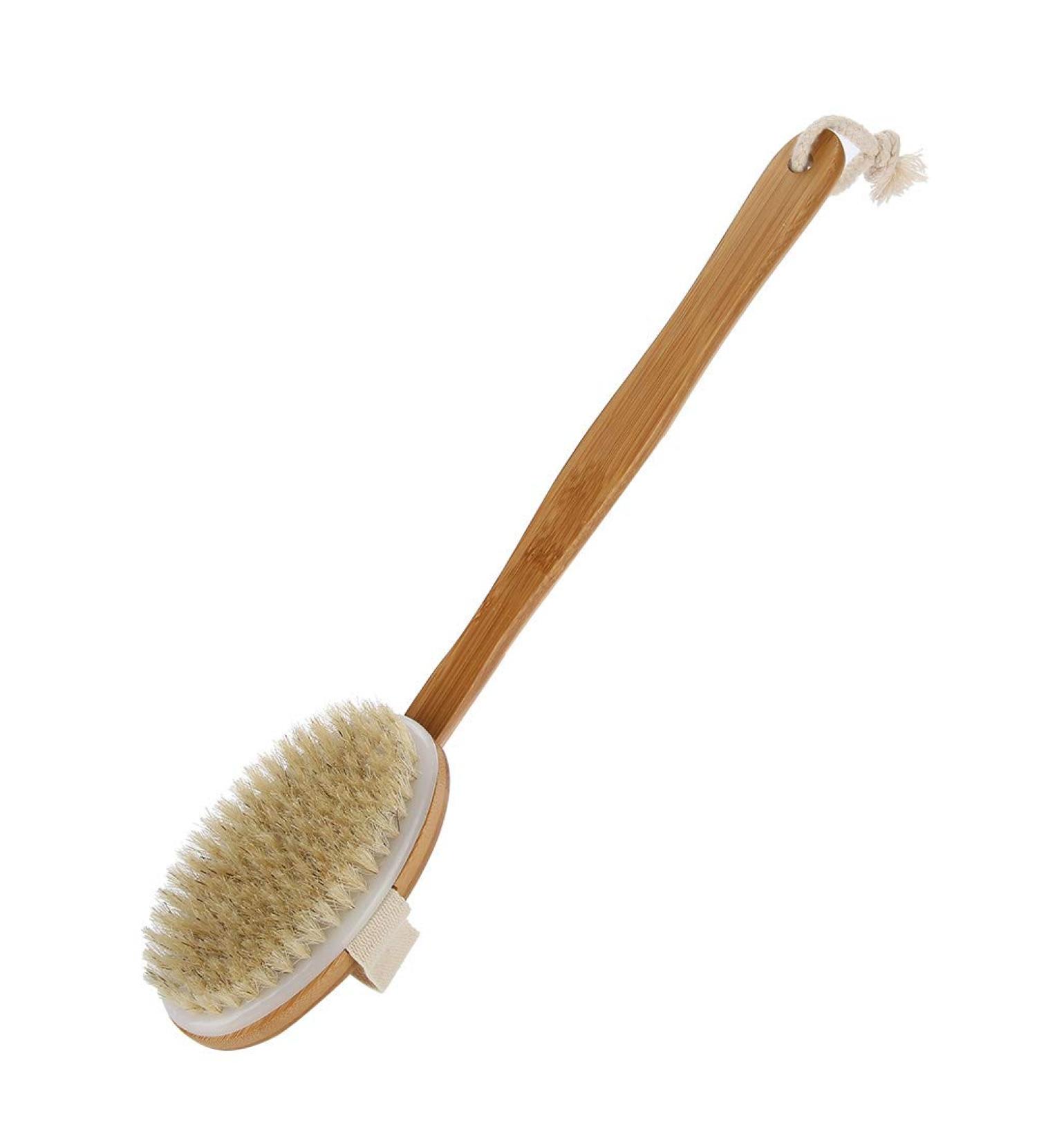 Body Brush Back Scrubber - Long Bath Shower Bristle Brush for Skin Peeling & Cleansing Care - Buy Online on GoSupps.com