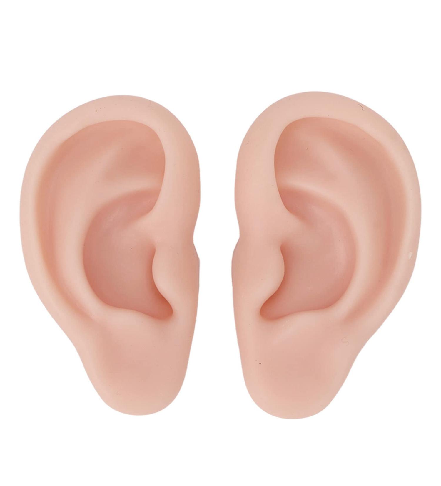 Silicone Ear Model for Earrings | Flexible Simulation Ear for Jewelry Display & Acupuncture Training | 1 Pair - Buy Online on GoSupps.com