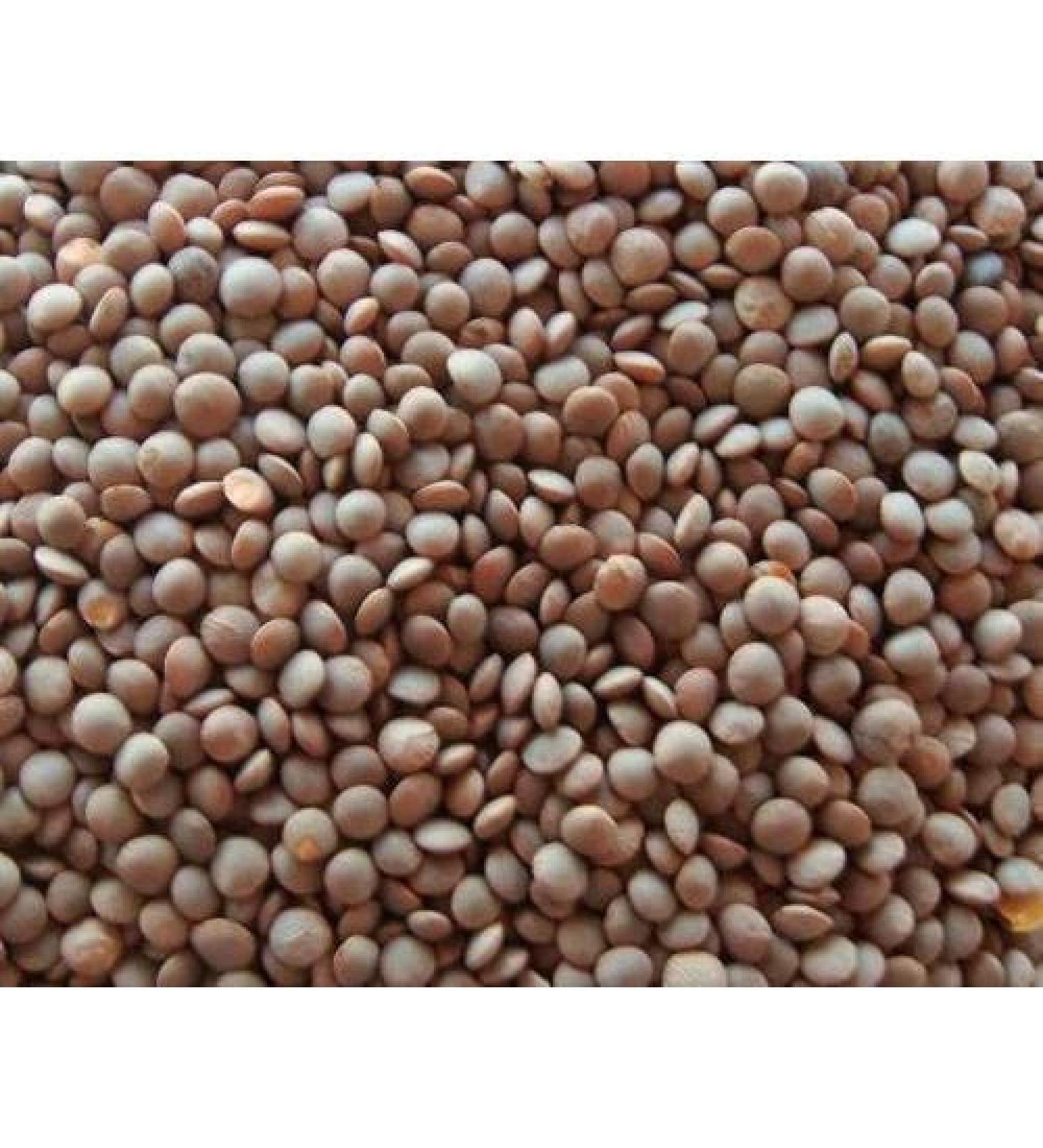 500g Organic Lentils Vegan & Gluten Free Legumes Split and Whole Daal Curry Gravy Dal Masoor Moong Bengal Gram (Brown Masoor Whole) - Buy Online on GoSupps.com