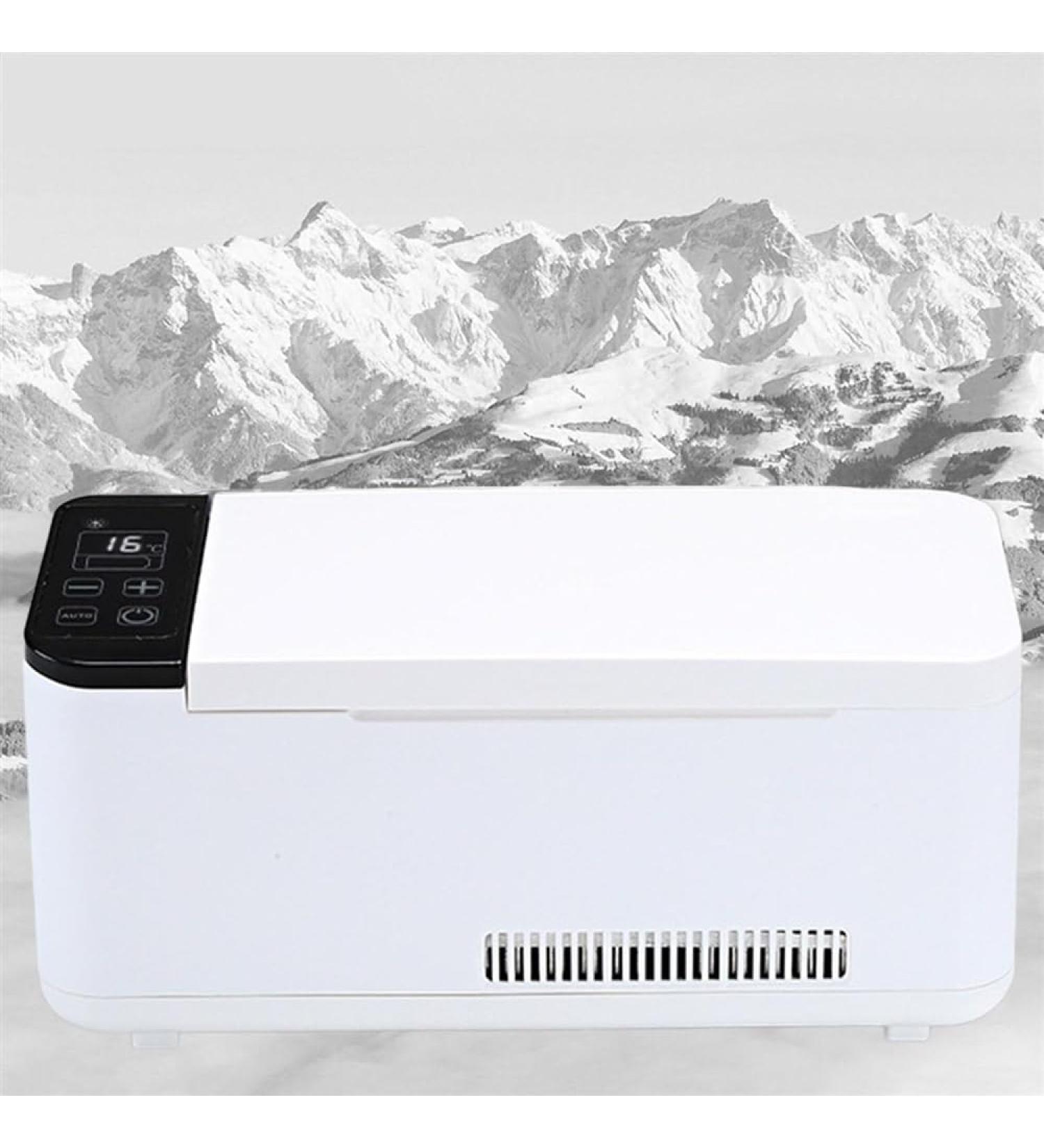 Portable Medicine Refrigerator And Insulin Cooler For Car Travel Constant Temperature Refrigerator Drug Reefer 2-8 Travel Box For Medi (Color : 1battery) - Buy Online on GoSupps.com