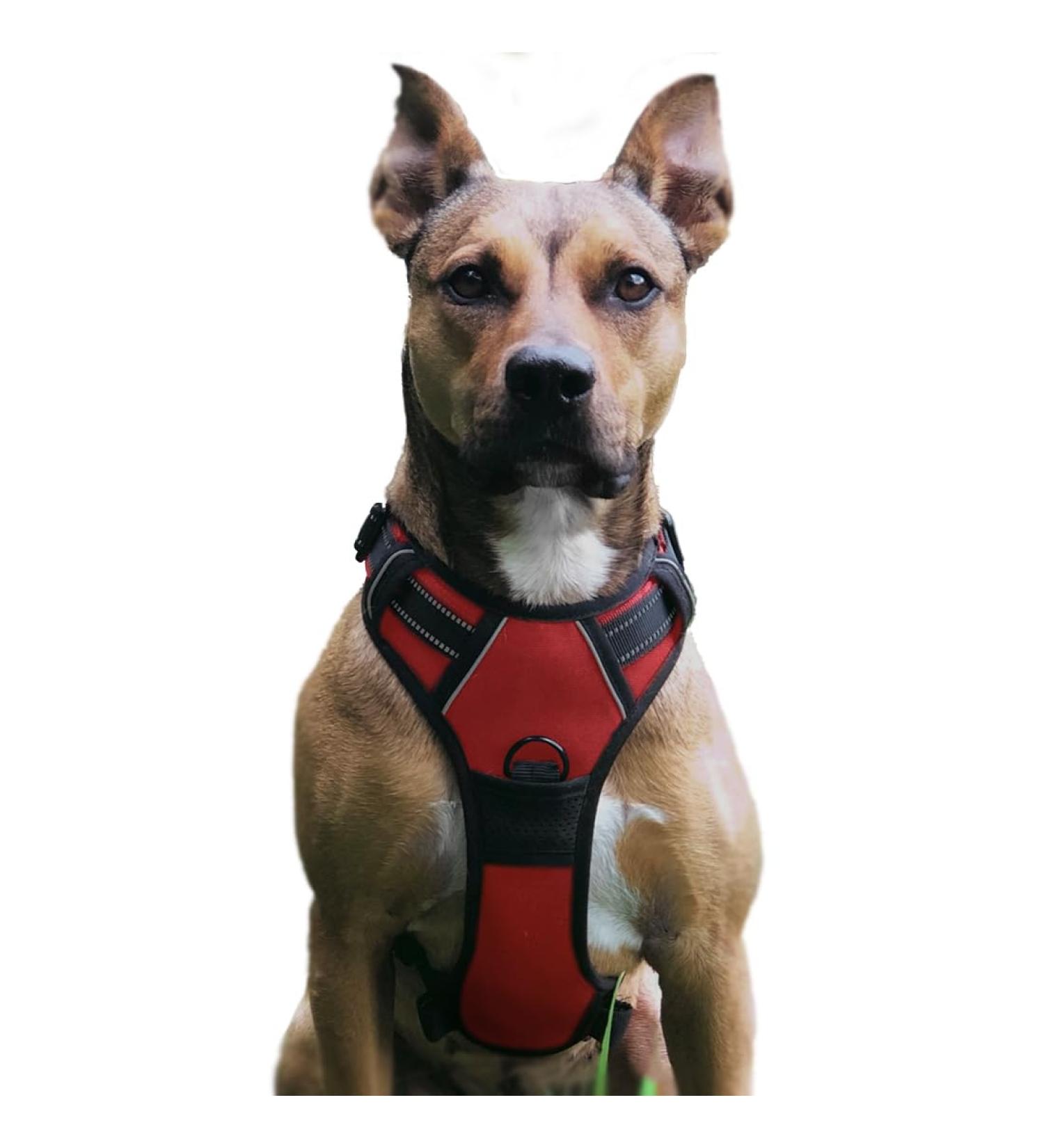 No Pull Dog Harness | Adjustable Reflective Soft Padded Chest Harness for Dogs - Breathable Design (Red M) - Buy Online on GoSupps.com