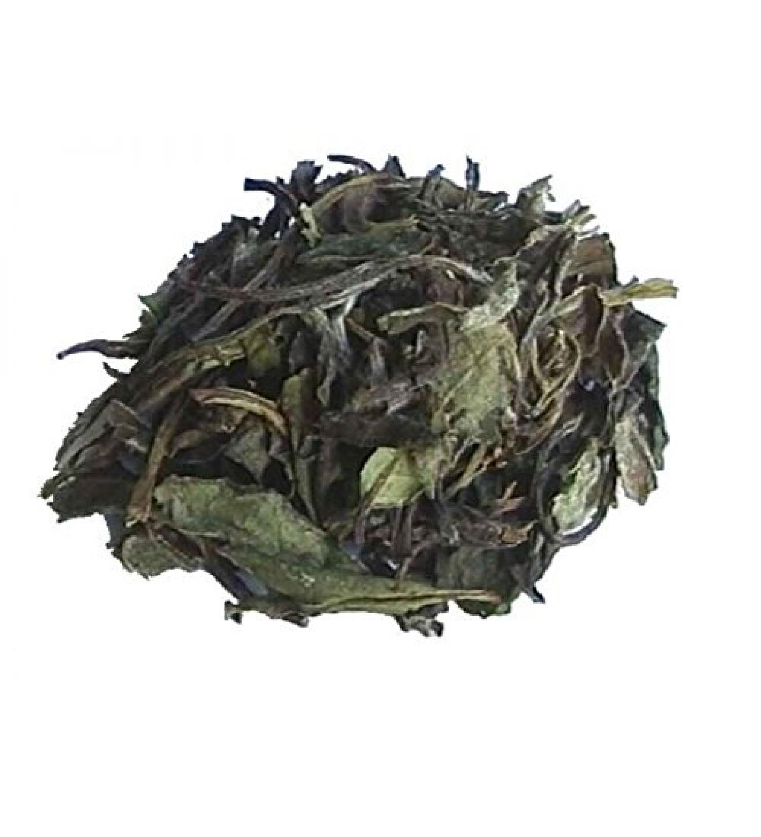 White tea china pai mu tan bio