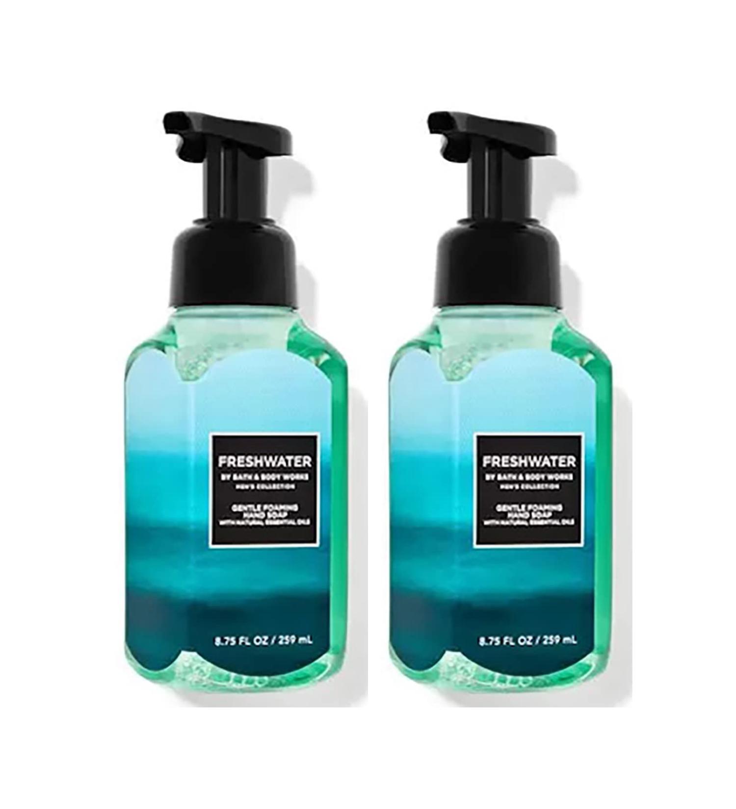 Bath & Body Works Freshwater Gentle Foaming Hand Soap 8.75 Ounce 2-Pack (Freshwater)