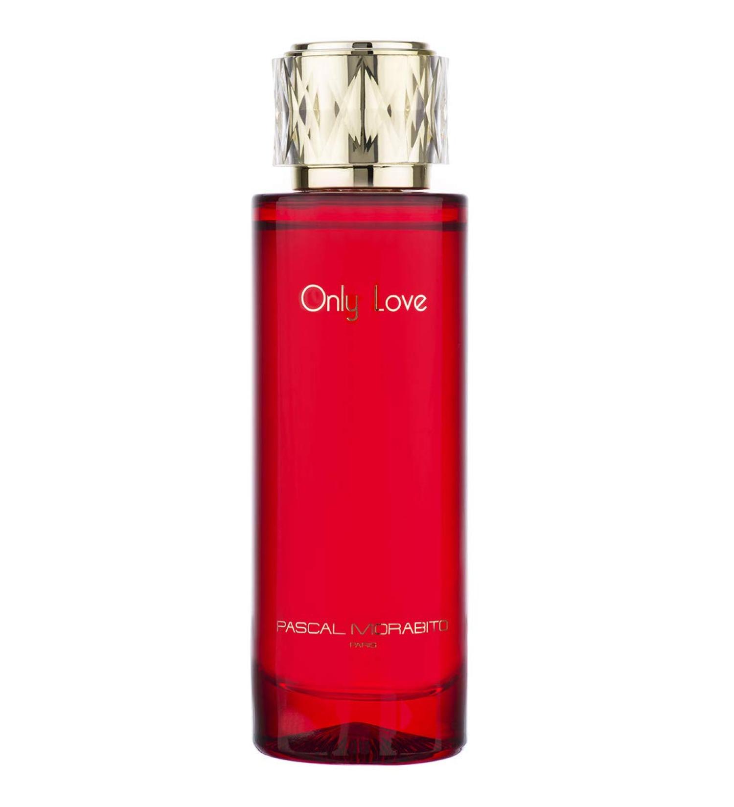Only Love - Enchanting Perfume for Women - Vanilla Perfume with Mandarin Jasmine Patchouli Amber Notes - Gifts for Women - 3.4 oz