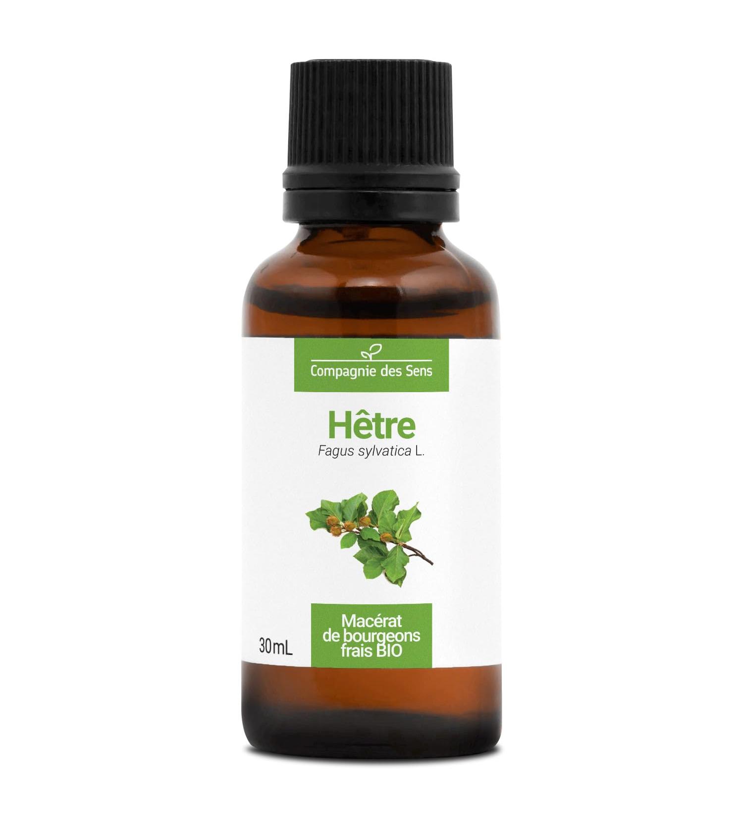 BEECH - 30mL - Organic bud macerate - Buy Online on GoSupps.com