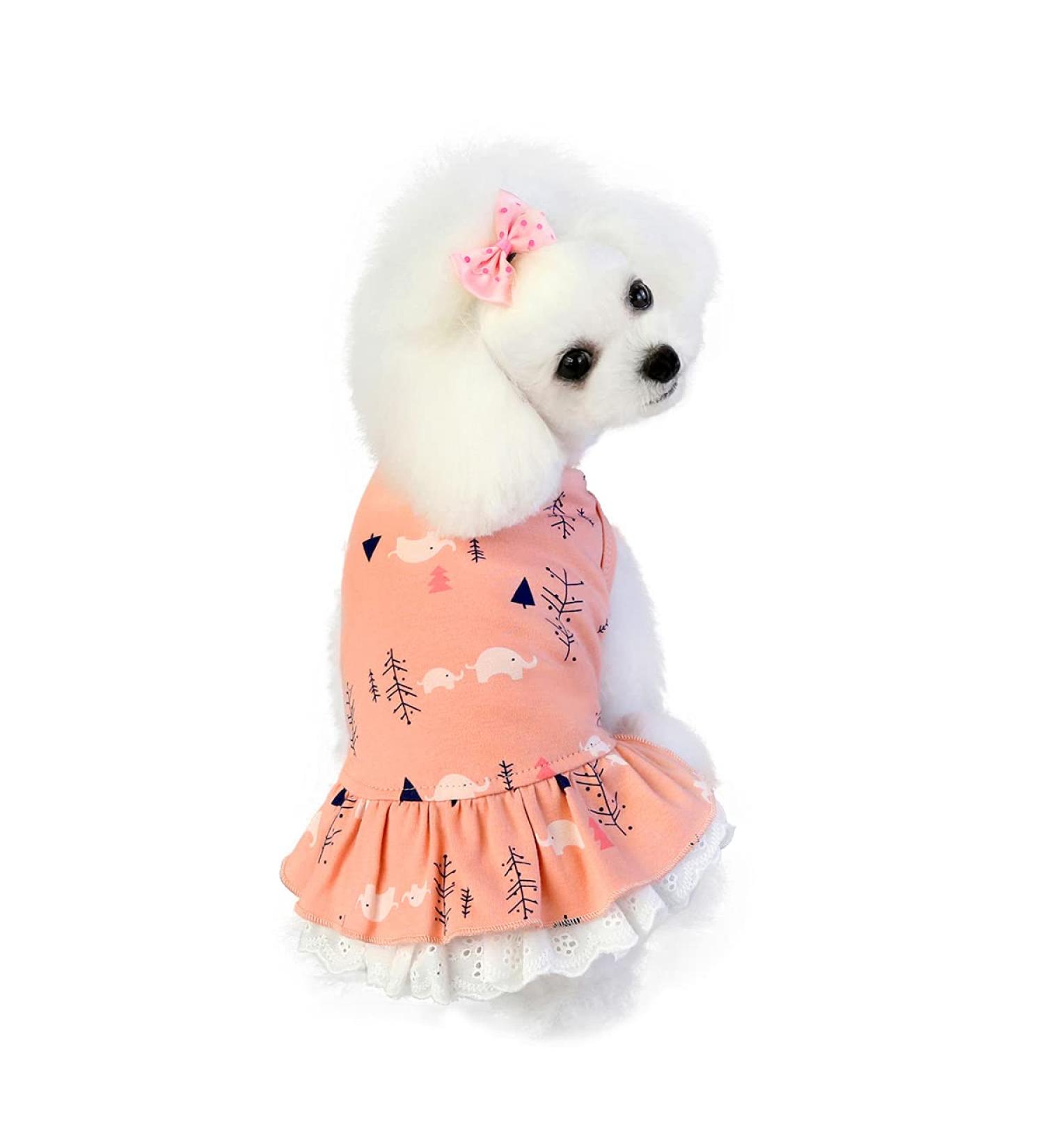 Barrageon Sweet Princess Rock Clothing for Dogs & Cats Pink Puppy Summer Outfit with Bowknot | Medium Size (Back Length: 20 cm) - Buy Online on GoSupps.com