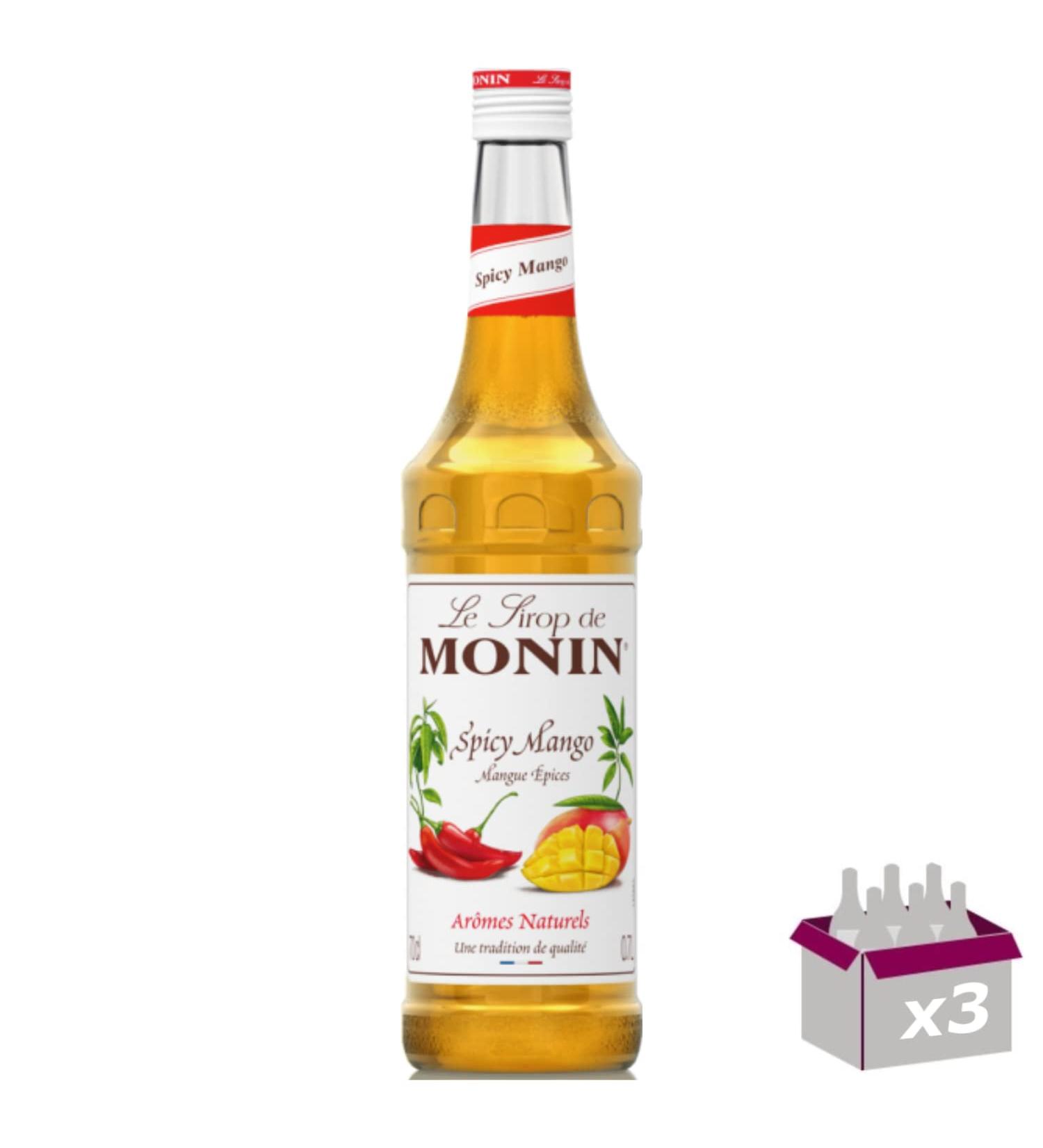 Set of 3 Syrup - Spicy Mango - 70cL