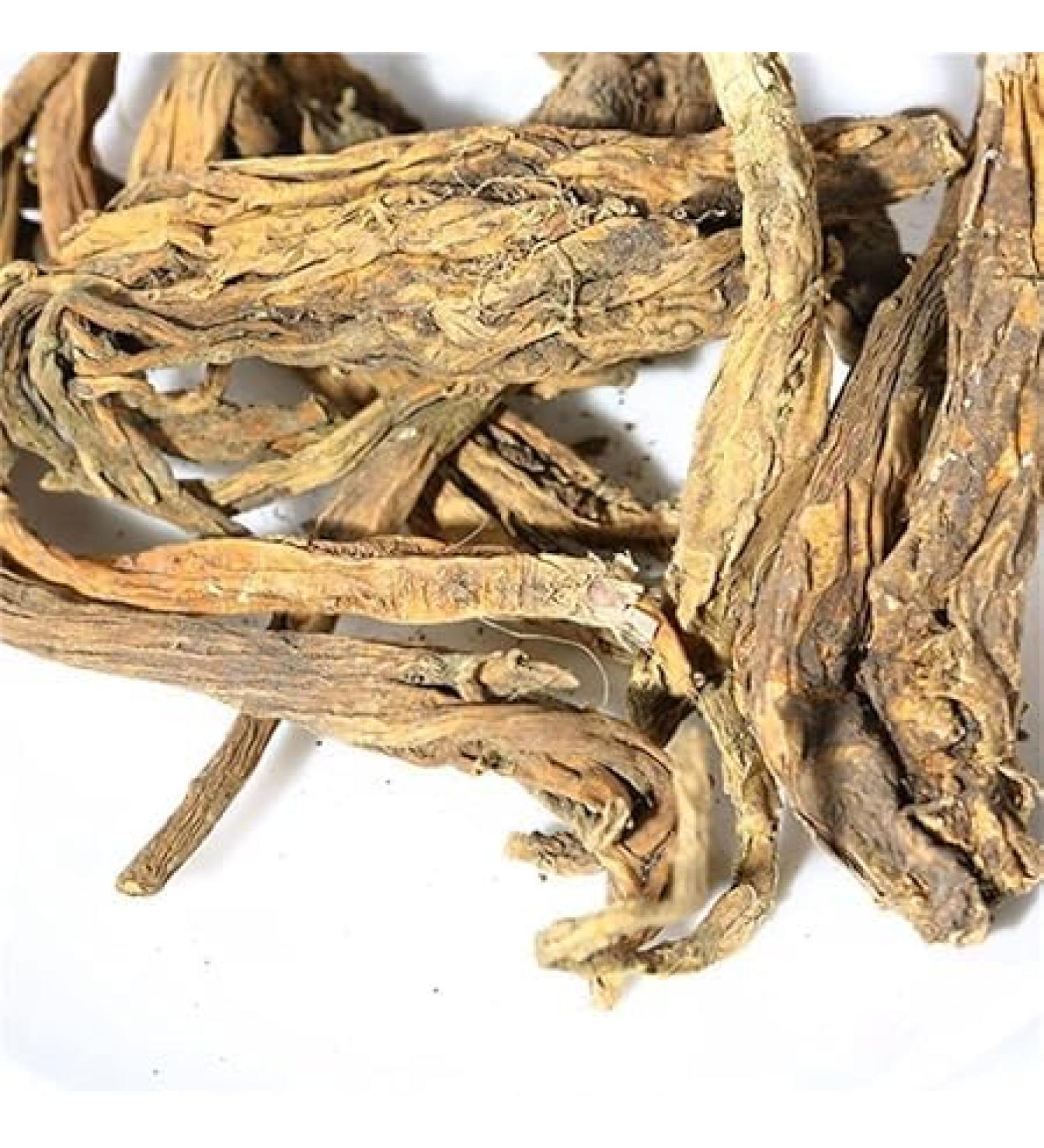 JEVR Nirgand Nirgundi Root Vitex Negundo Dried Root 400 g - Buy Online on GoSupps.com