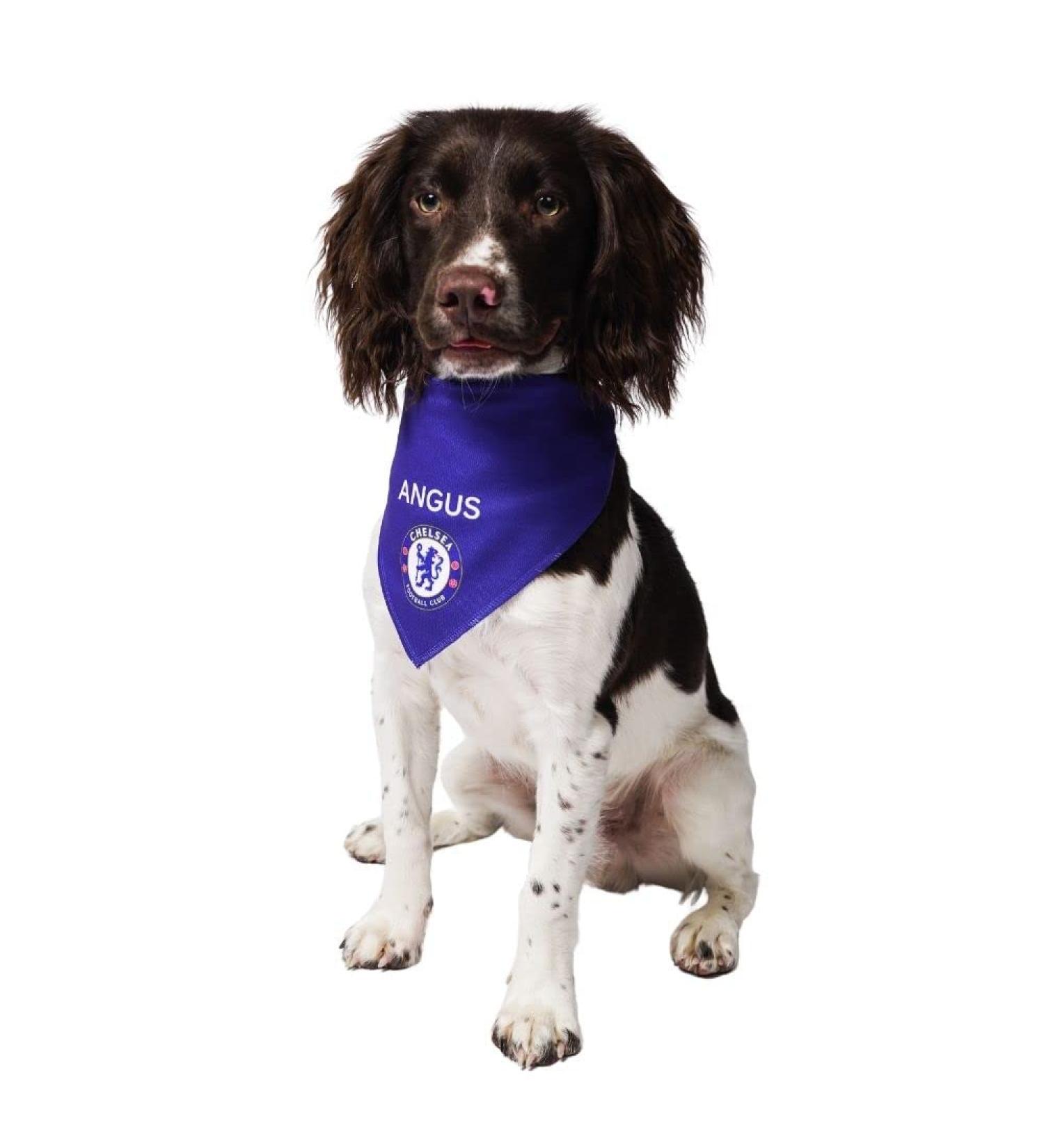 Dogsy Official Personalised Chelsea Dog Bandana | Football Dog Bandanas | Chelsea Gifts | Football Dog Accessories | Licensed Chelsea FC Merchandise (Large)