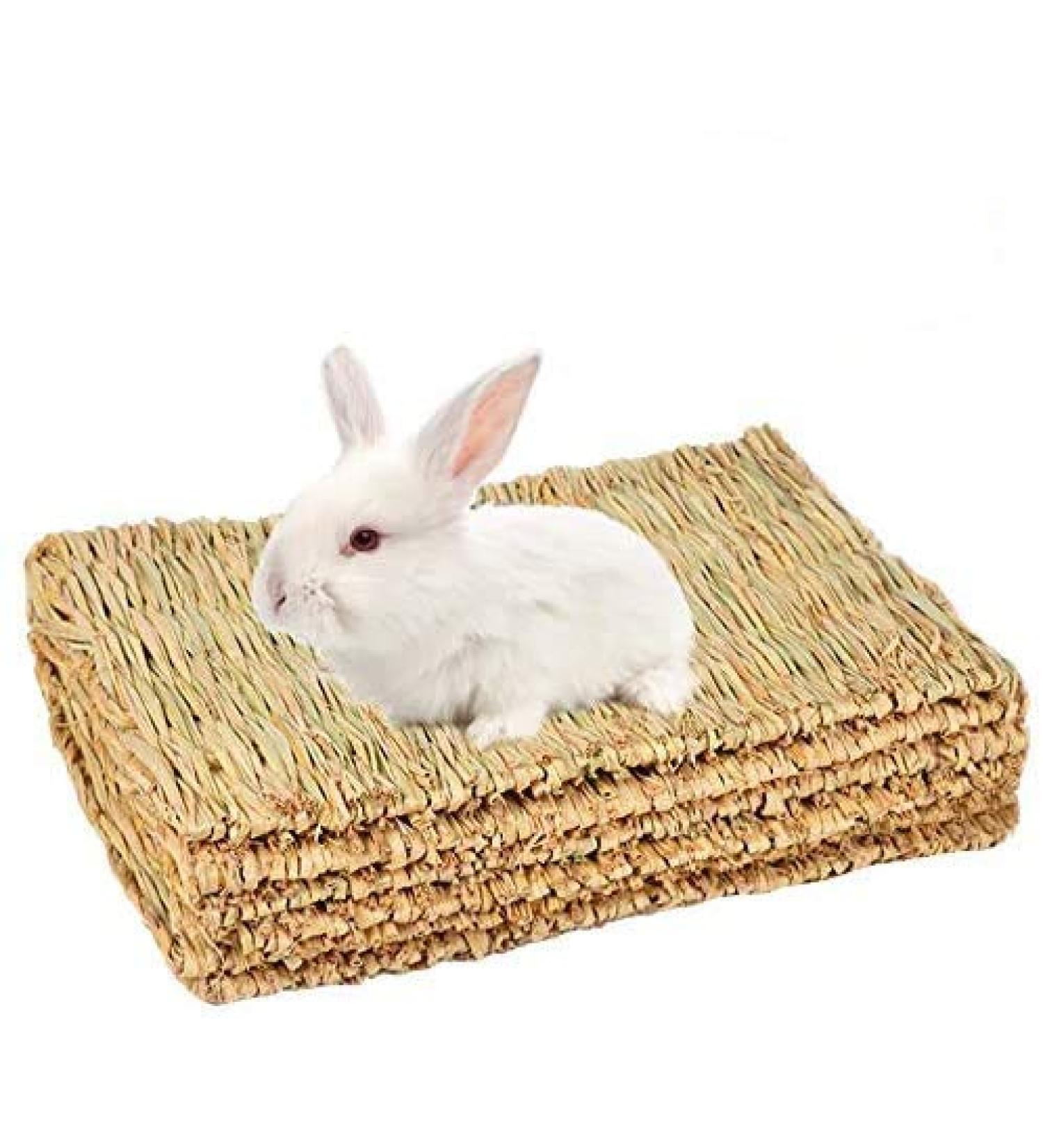 3 Pack Rabbit Bunny Mat - Natural Straw Woven Grass Chew Toy Bed for Small Animals - Buy Online on GoSupps.com