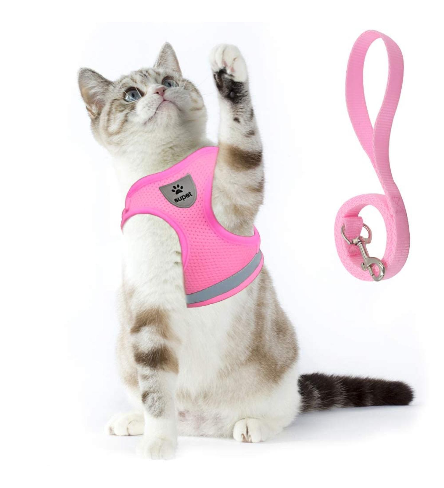 Supet Cat Dishes & Breaking-Safe Leash - Soft Vest for Kittens & Small Dogs (Chihuahua) - Pink Size L (Chest 38-43 cm) - Buy Online on GoSupps.com