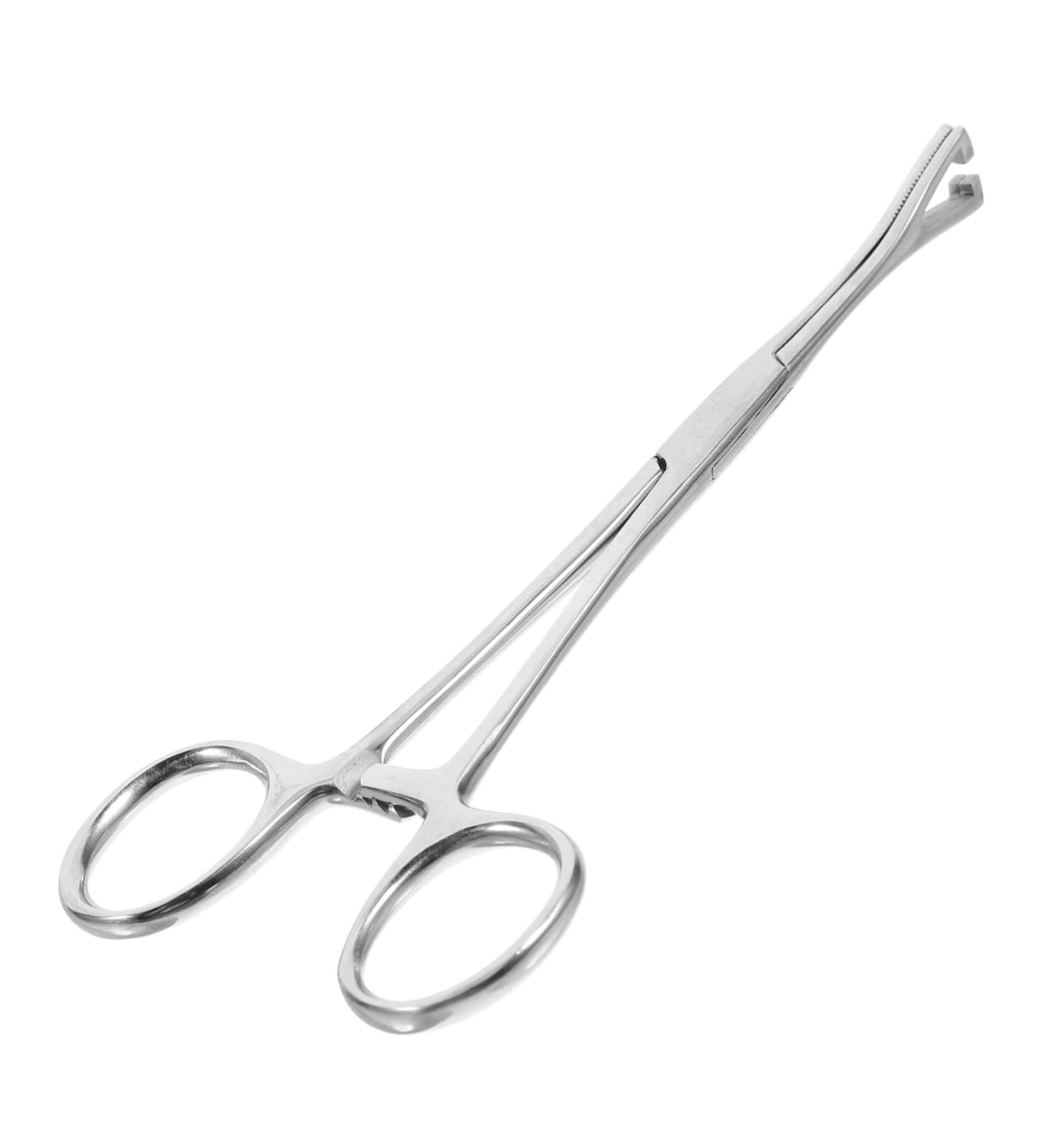 Kisangel Reptile Feeding Clip Terrarium Supplies Snake Tank Accessories Stainless Steel Silver - Buy Online on GoSupps.com