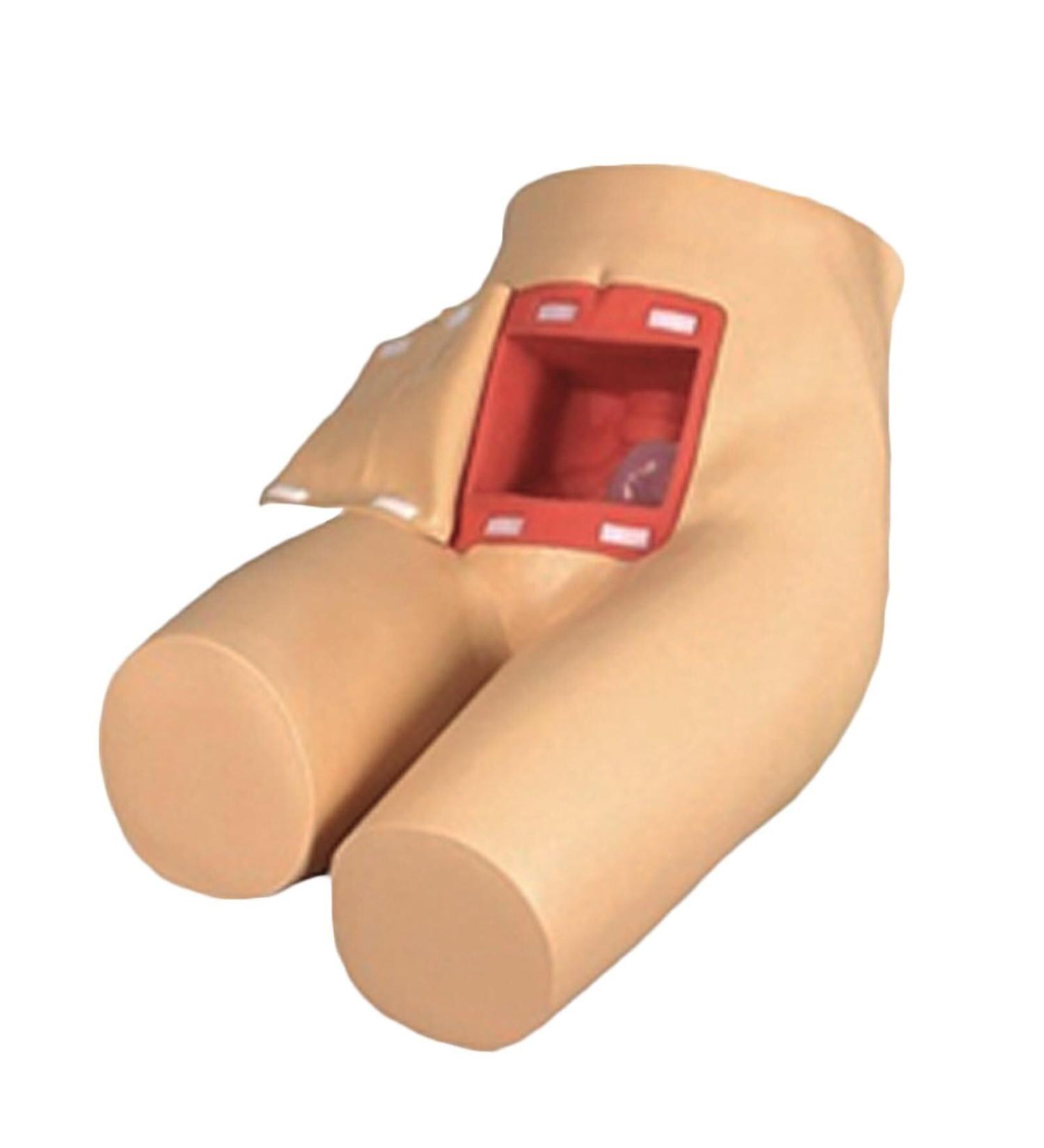 Buy Assisted Defecation Manikin Educational Model - Life Size Enema Training Tool for Nursing & Healthcare Professionals - Buy Online on GoSupps.com