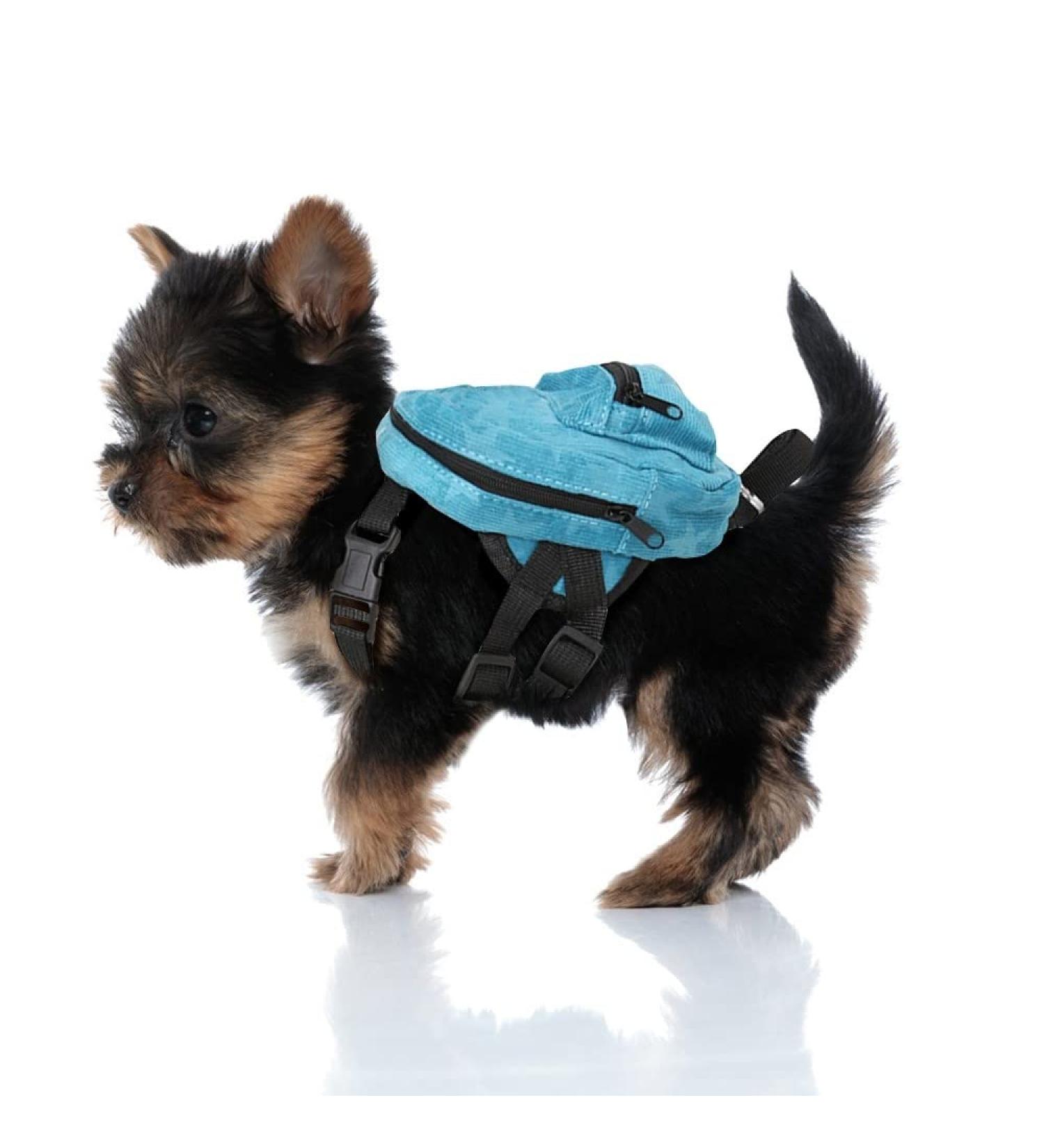 DONGKER Dog Backpack with Leash | Adjustable Snack Storage Bag for Small Medium Dogs | Ideal for Outdoor Travel, Camping, Hiking | S Chest 12.6-15.7 - Buy Online on GoSupps.com