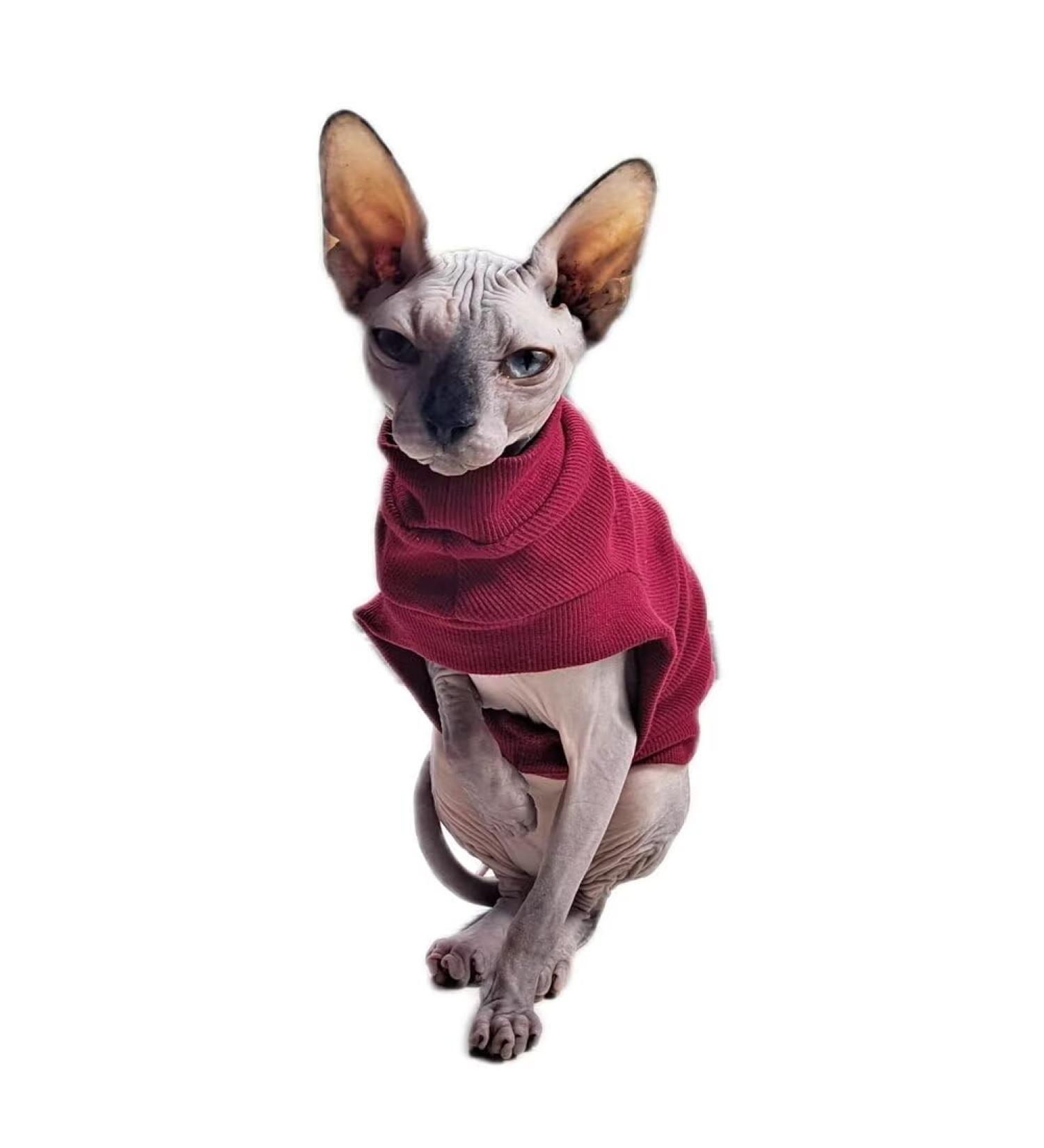 Sphynx Hairless Cat T-shirt - Soft Cotton Vest for Devon, Cornish, and Peterbald Cats (Cherry Red, Small) - Buy Online on GoSupps.com