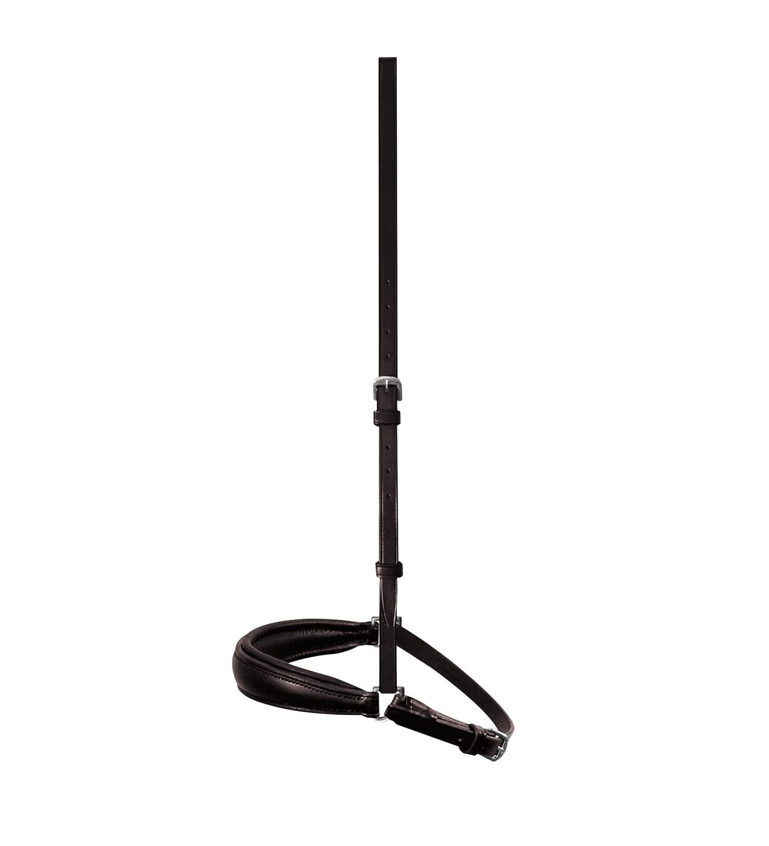 Passier - Noseband Hanoverian black-brass Thoroughbred-cob