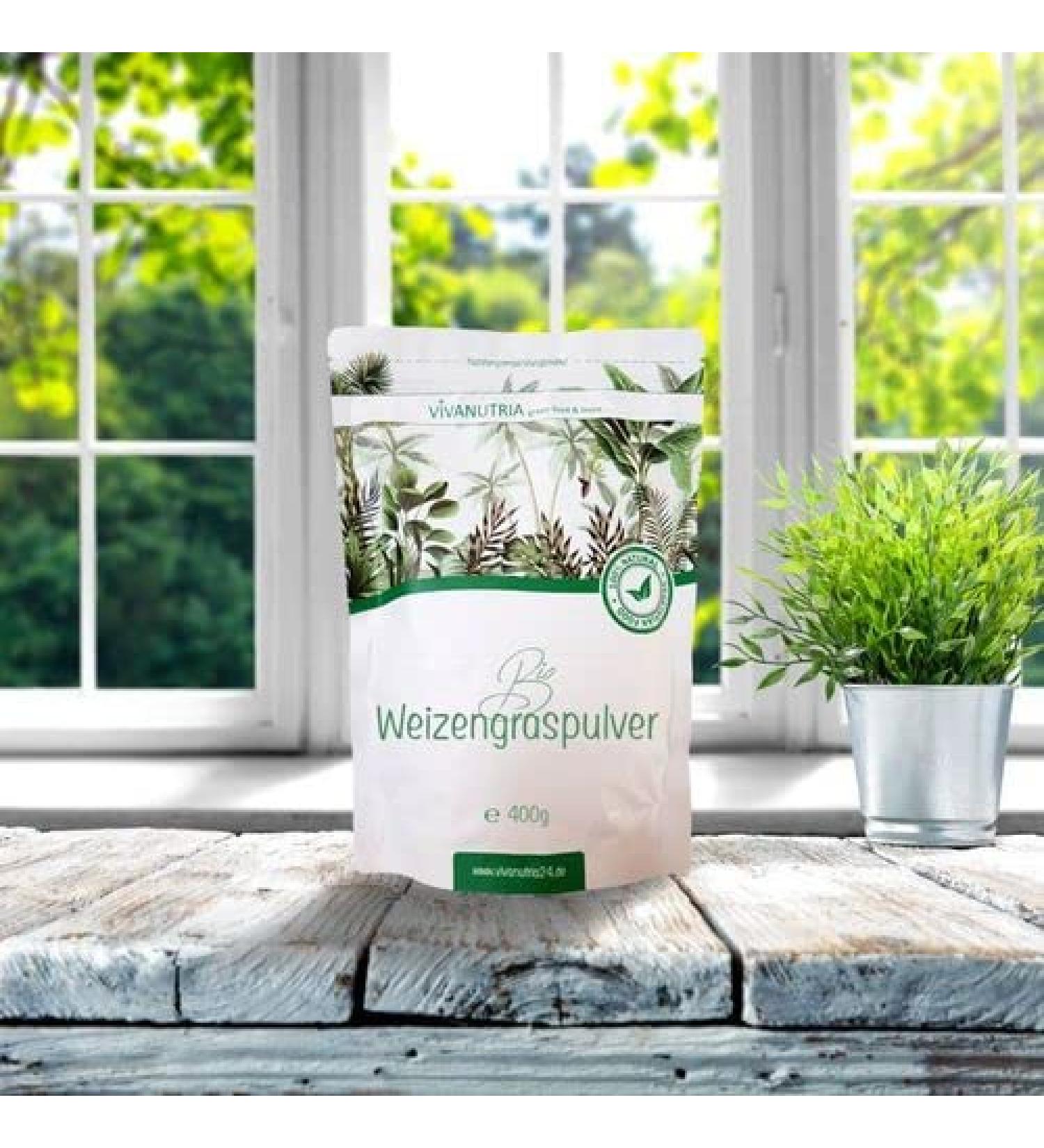 Organic Wheatgrass Powder 400g - Certified Organic Raw Food Quality Lab Tested - International Shipping Available - Buy Online on GoSupps.com