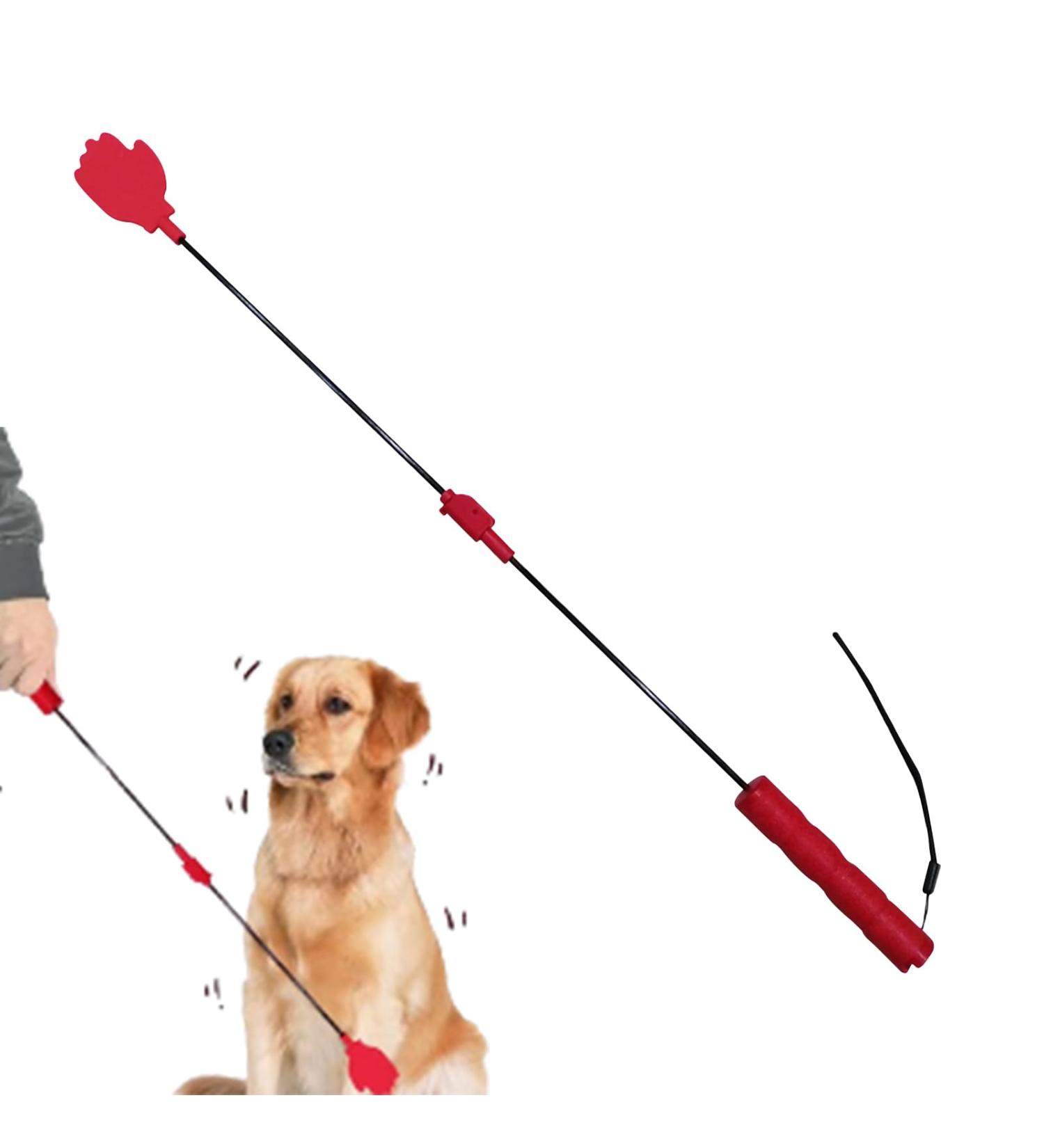 Poteau de flirt pour chiens jouet interactif de b ton de flirt pour animaux de compagnie bauette extensible quipement de flirt multifonctionnel pour animaux de compagnie fournitures pour animau - Buy Online on GoSupps.com