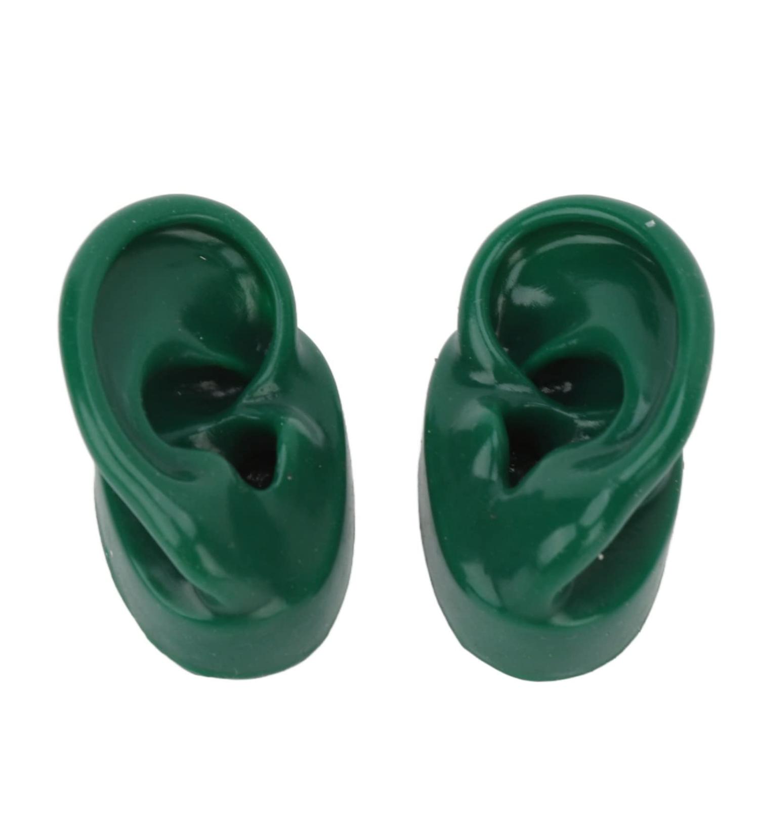 Simulated Pair Human Ear Model for Acupuncture Display - Soft, Slick, Water-Resistant (Green) - Buy Online on GoSupps.com