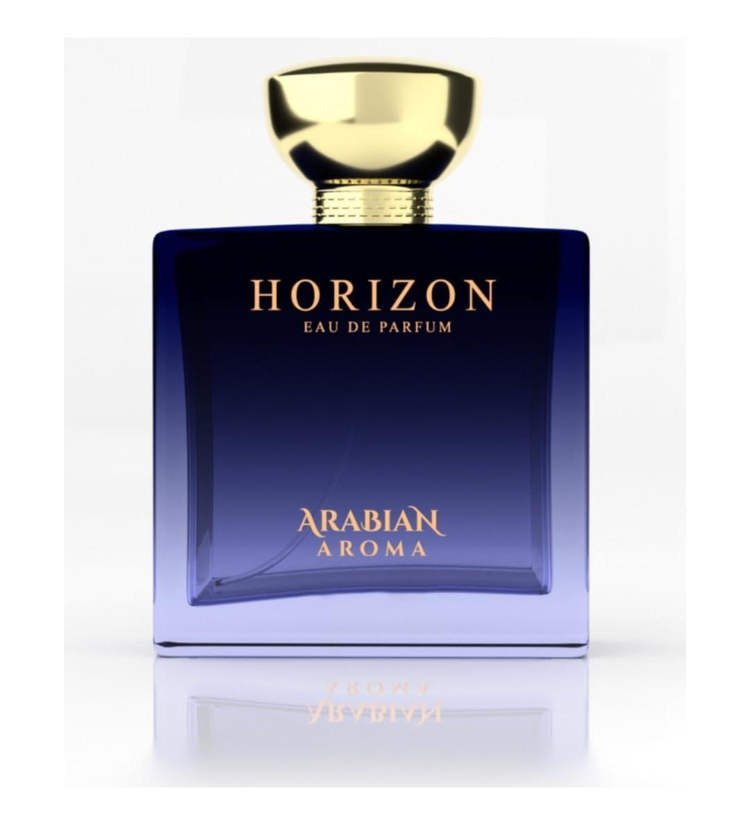 DJ Aroma Horizon Men's Perfume | Fresh and Long-Lasting Fragrance | Refreshing fragrance for men | Eau De Perfume | Long Lasting Perfumes for Men (100ml) - Buy Online on GoSupps.com