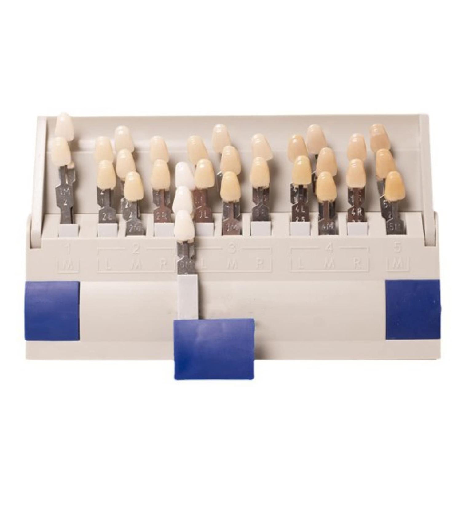 Teeth Shade Guide - 29 Color Whitening Chart for Perfect Smile | Removable Tooth Bleaching Guide - Buy Online on GoSupps.com