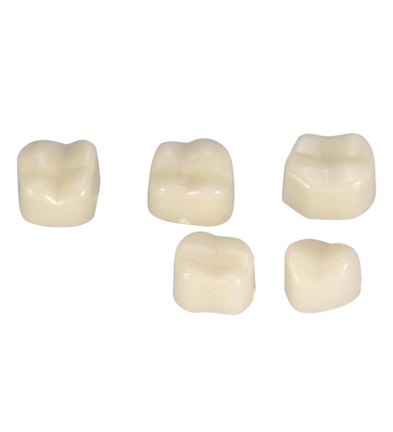 Temporary Crown Fake Teeth - 50pcs Box for Oral Care | Ideal for Posterior Teeth - Buy Online on GoSupps.com