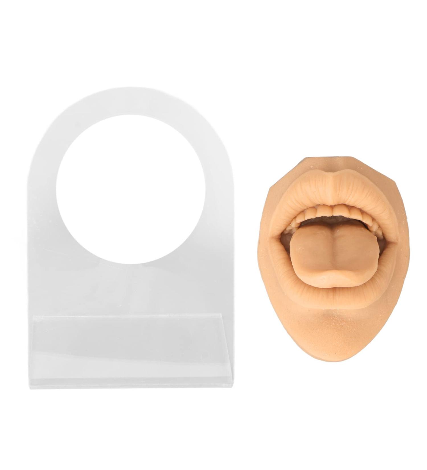 Realistic Human Tongue Mouth Model for Drilling Practice | High Elastic Simulation - Skin Color - Buy Online on GoSupps.com