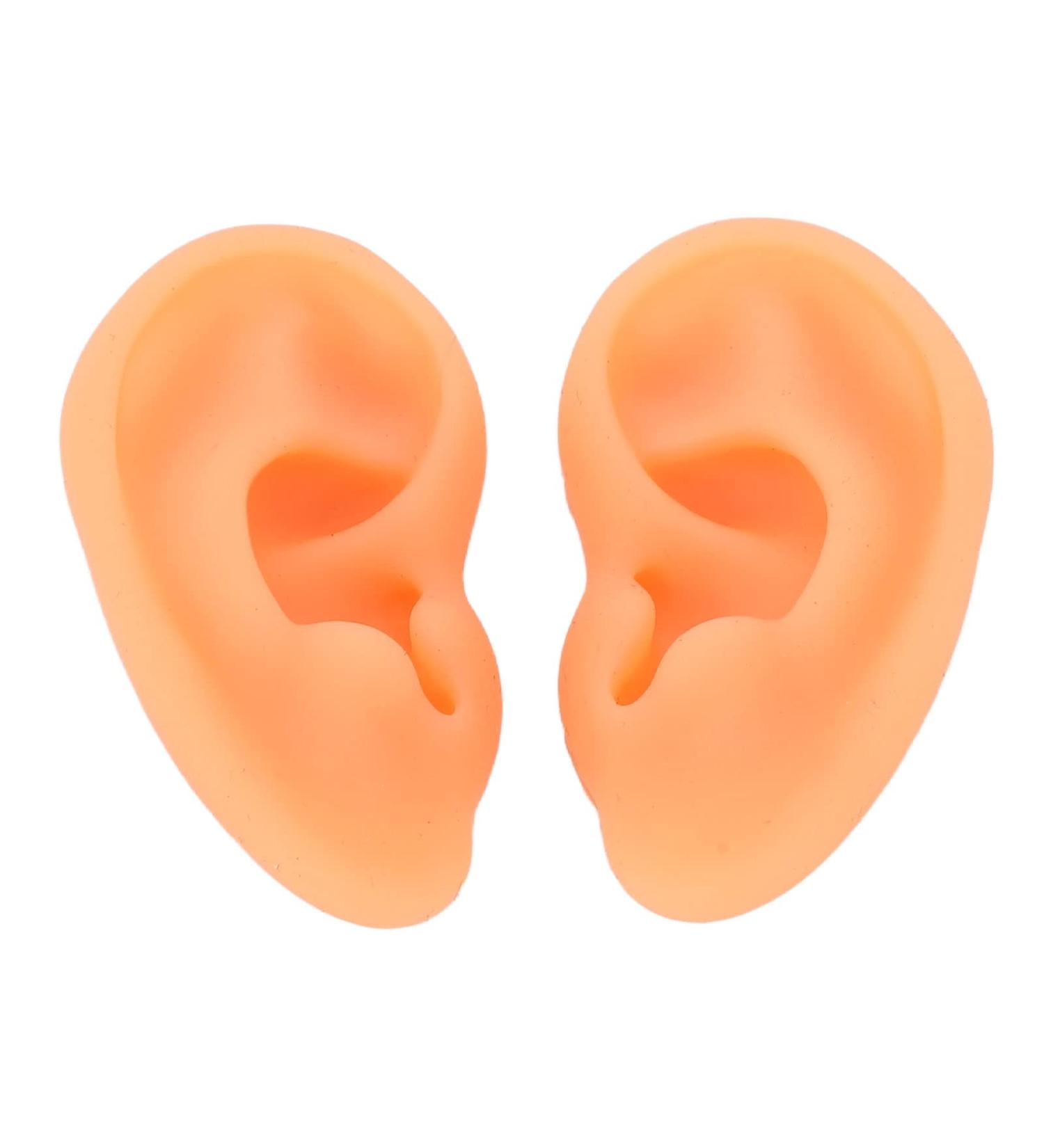 Flexible Silicone Acupuncture Ear Model - 2 Pieces for Doctors | Clear Structure, Waterproof & Soft - Buy Online on GoSupps.com
