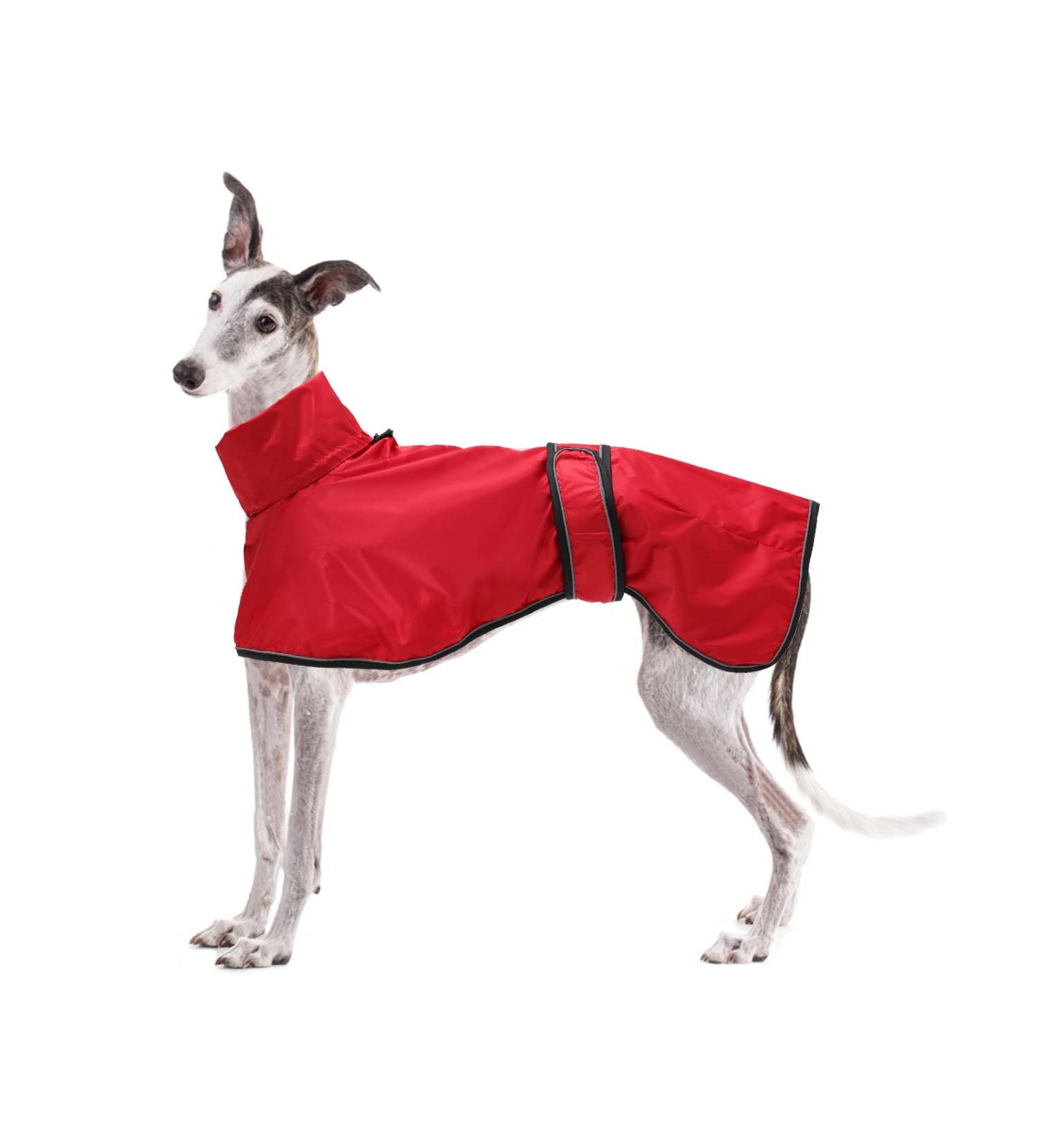 Waterproof Greyhound Light Dog Jacket | Reflective Rain Coat for Whippets & Windhounds - XS Red (46-48cm) - Buy Online on GoSupps.com