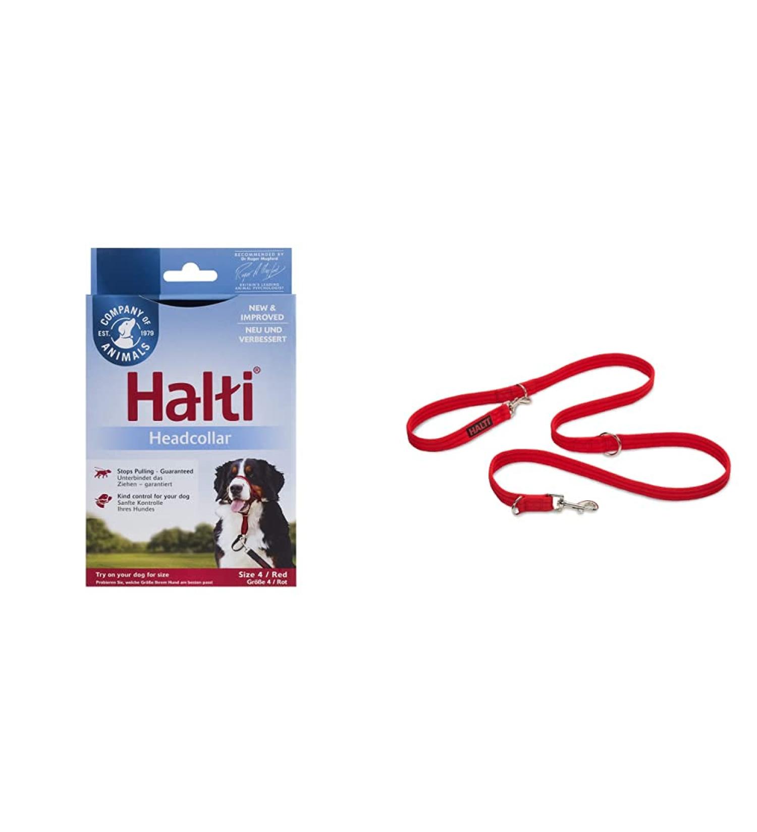 Company of Animals: Halti Headcollar & Double Ended Training Lead Pack suitable for Small Medium and Large dogs - Buy Online on GoSupps.com