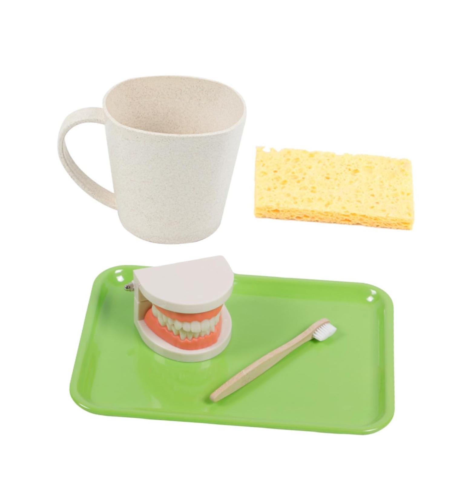 Buy Educational Dental Toys for Kids | Interactive Tooth Models for Early Dental Education - Buy Online on GoSupps.com