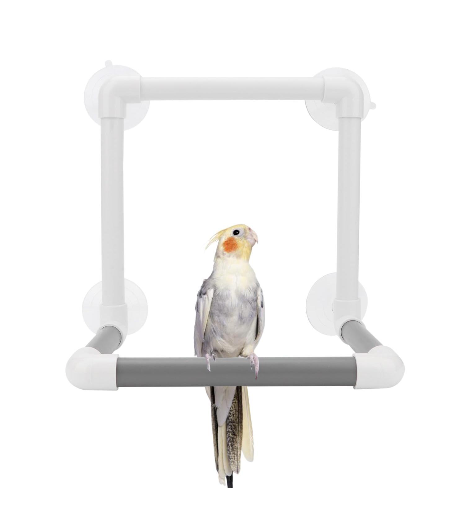 Portable Bird Parrot Stand Shower Perch Toy with 4 Suction Cups - Buy Online on GoSupps.com