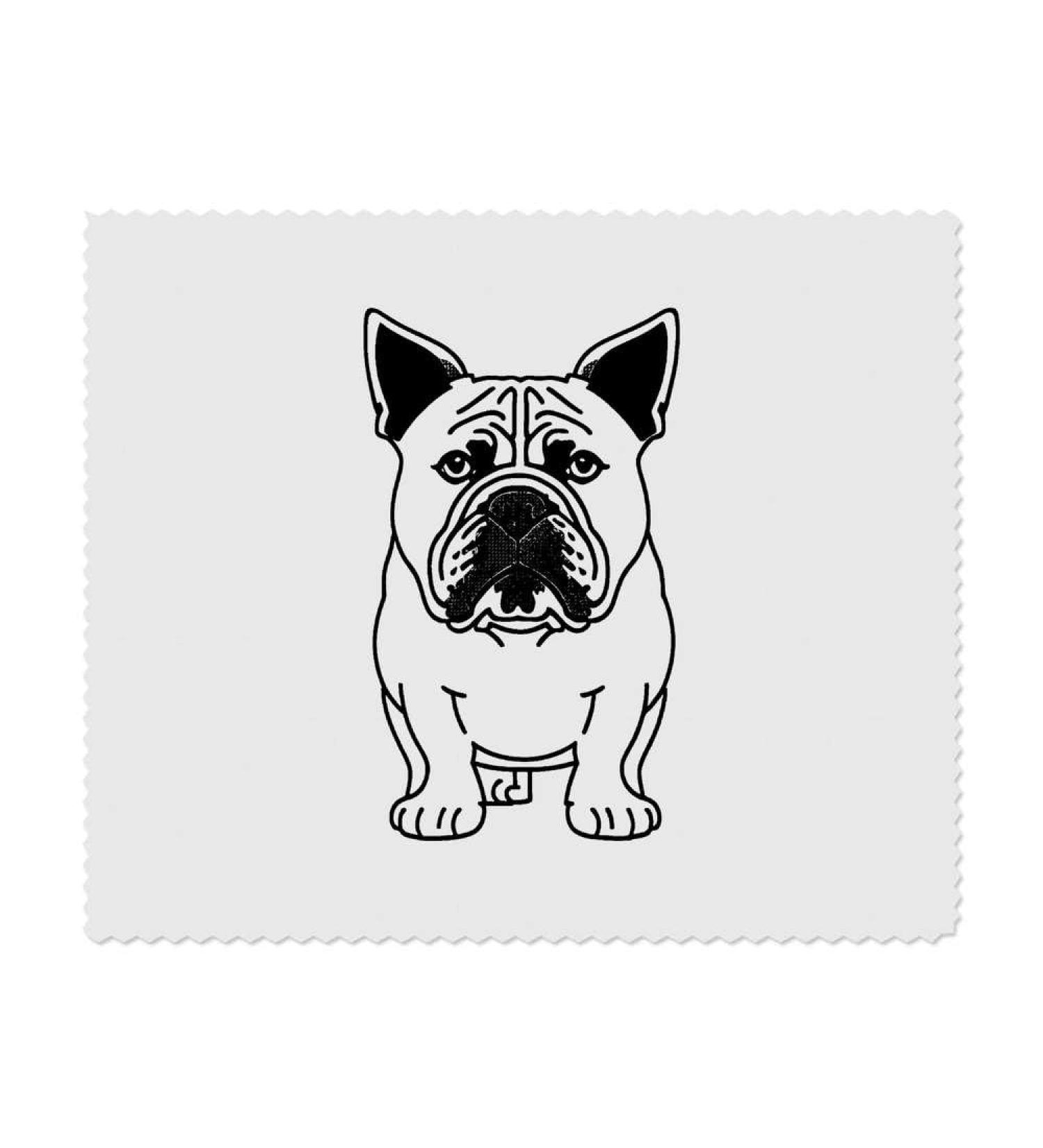 Buy 2 x English Bull Dog Microfiber Cleaning Cloths - Ultra-Absorbent & Durable | International Shipping Available - Buy Online on GoSupps.com