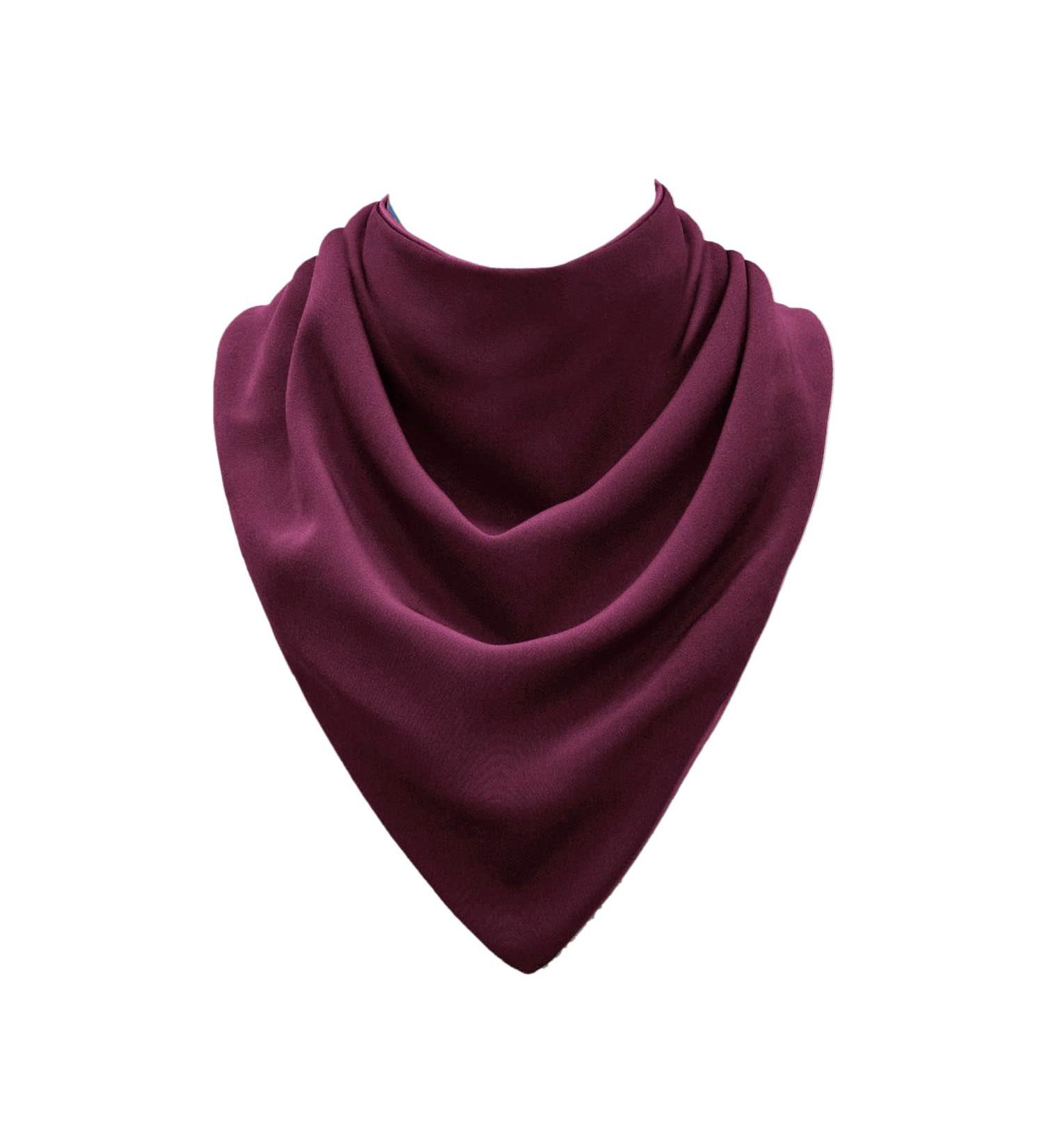 Buy Care Designs Large Waterproof Narrator Scarf for Adults - Stylish & Dignified Protection for Seniors Disabled Men & Women in Burgundy - Buy Online on GoSupps.com