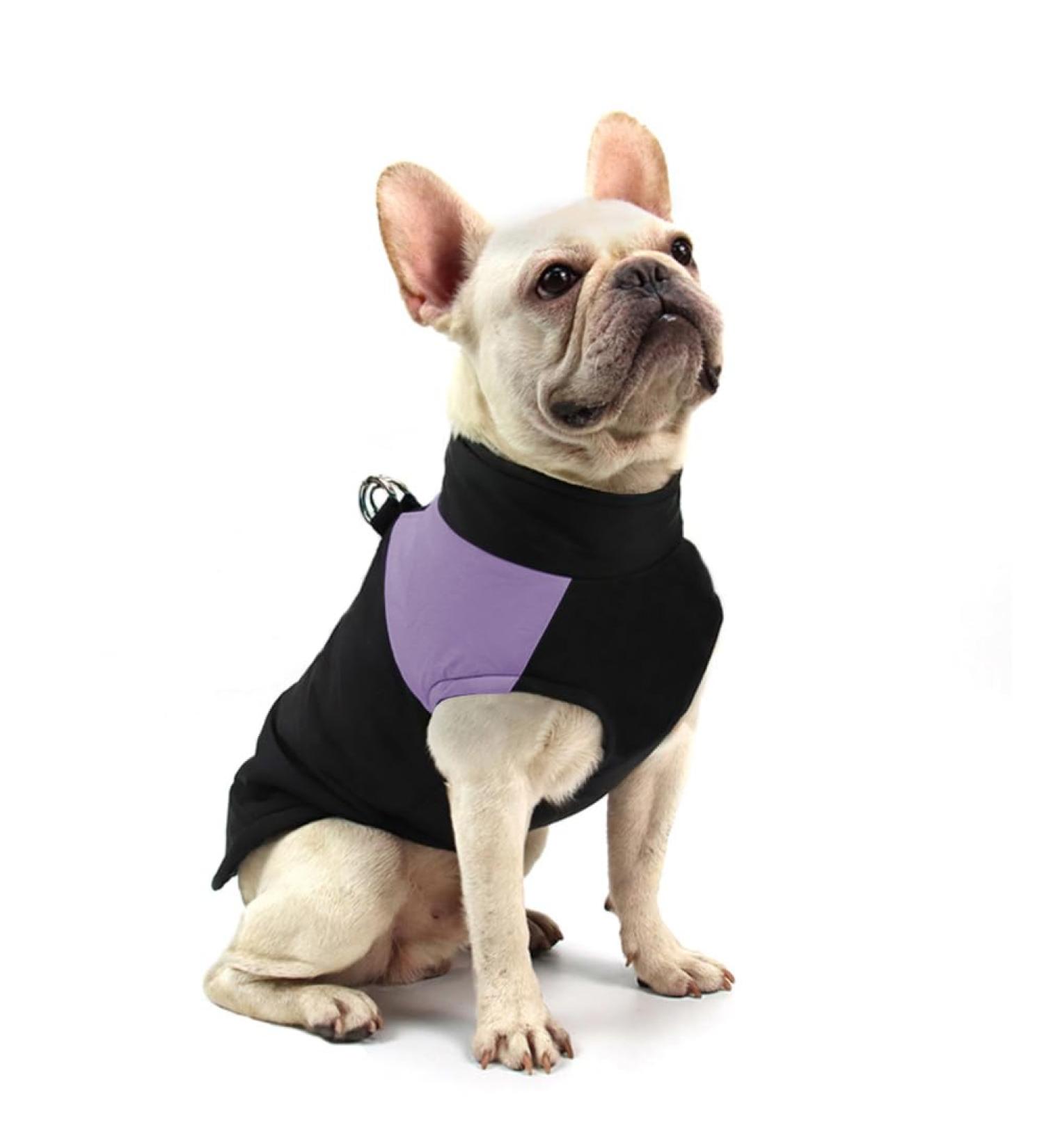 Femax Waterproof Dog Coat - Warm Winter Jacket for Small Medium & Large Dogs - Purple XL (Breast 48cm Back 39cm) - Perfect Cold Weather Pet Clothing - Buy Online on GoSupps.com