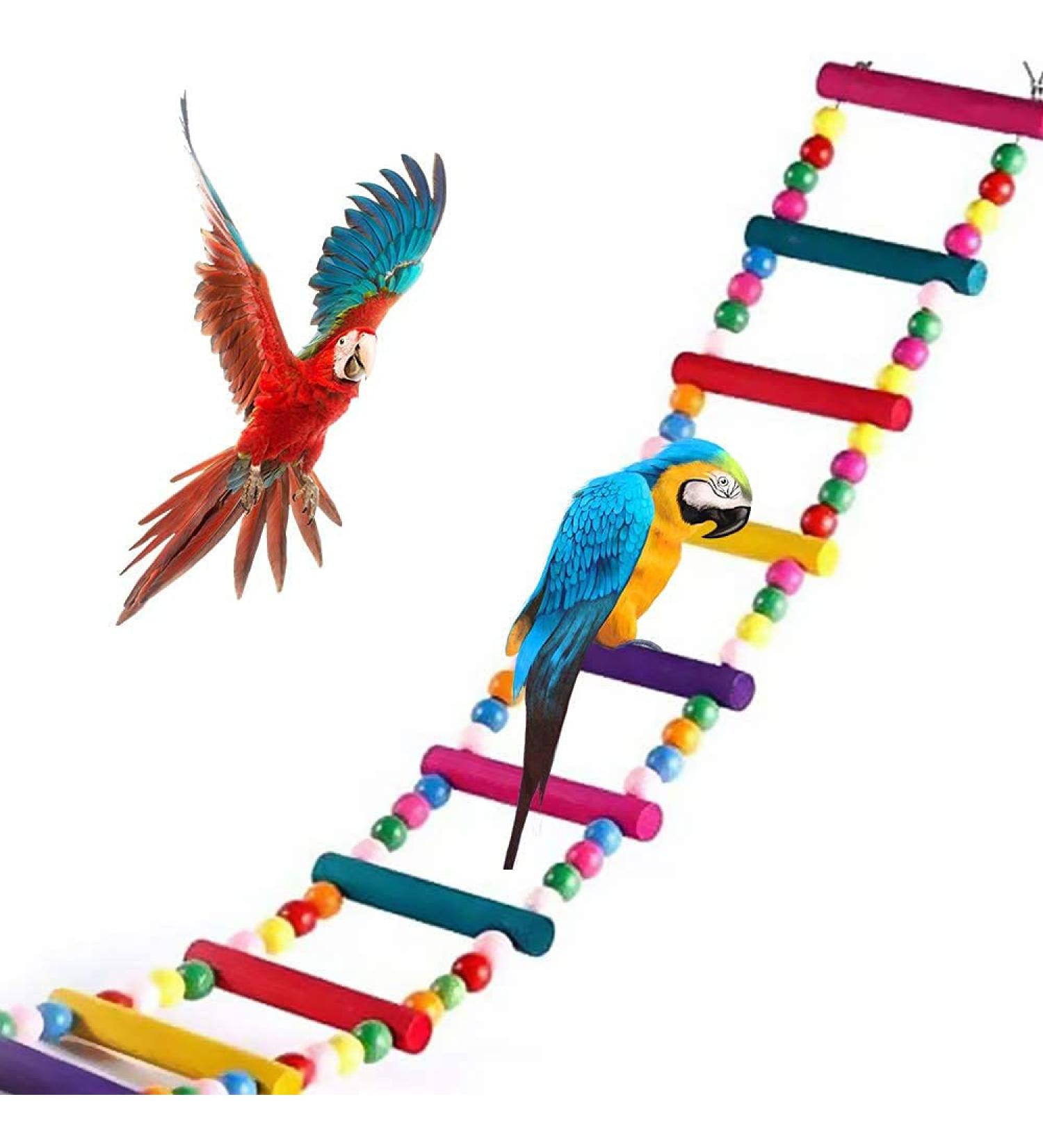 Colorful Wooden Parrot Ladder & Bridge - Climbing Toy for Birds | International Shipping Available - Buy Online on GoSupps.com
