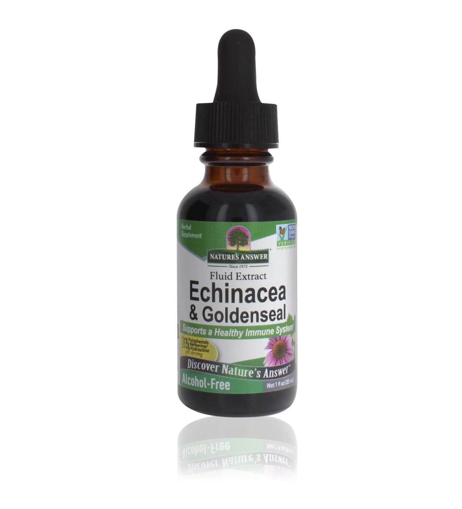 Nature's Answer Echinacea & Goldenseal Extract | Immune Support, Alcohol-Free, Vegan, Gluten-Free, Kosher - 1oz - Buy Online on GoSupps.com