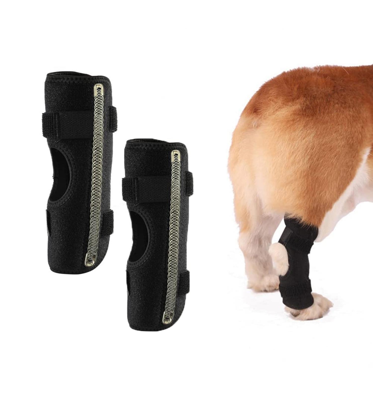 Dog Knee Brace 2-Pack Dog Leg Brace with Bimetallic Spring Bars Canine Rear Hock Support Protects Wounds Heals and Prevents Injuries and Sprains Helps with Loss of Stability Caused by Arthritis (L) - Buy Online on GoSupps.com