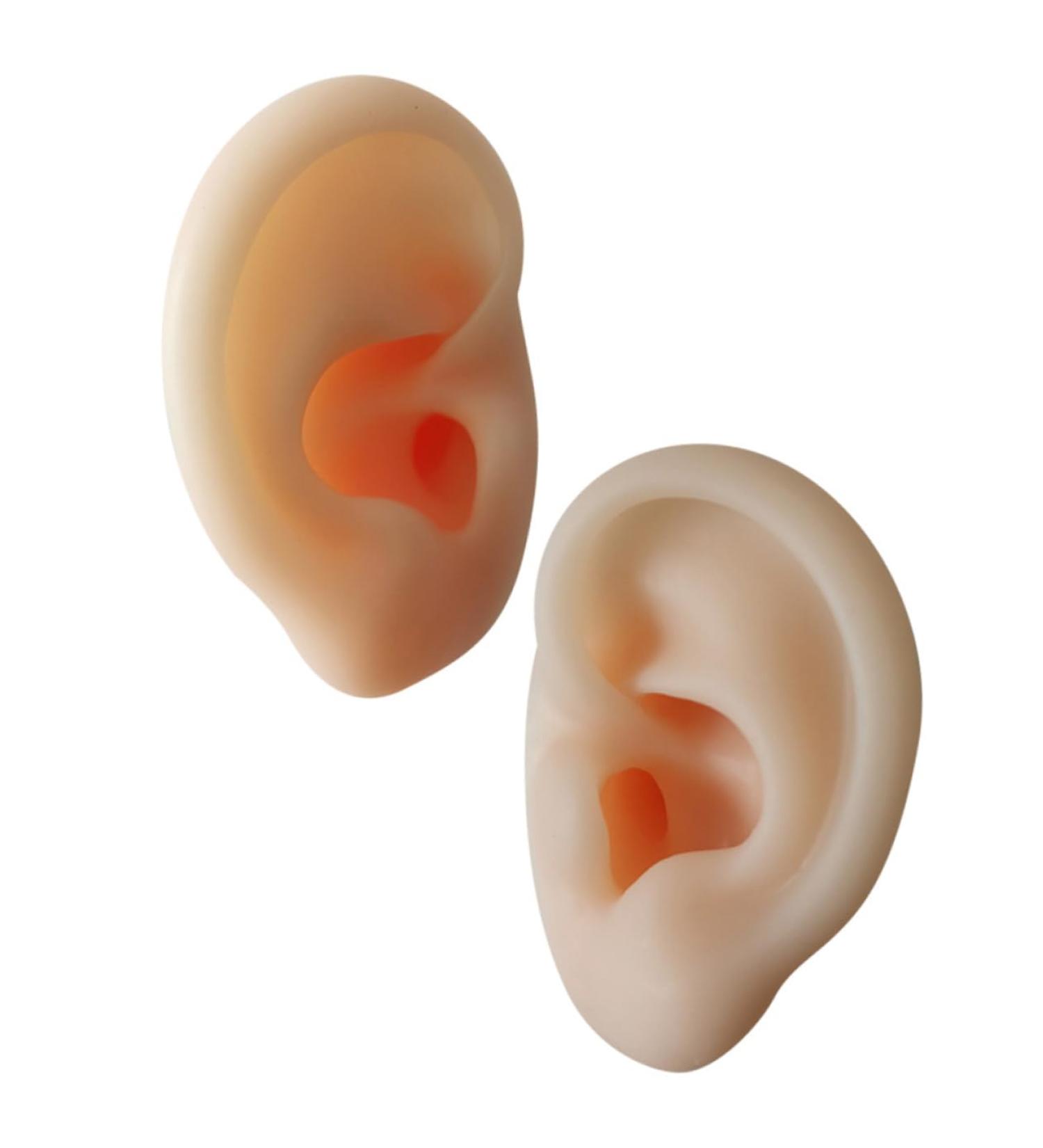 Silicone Ear Models for Practice - 1 Pair Ear Picking & Display Samples - Buy Online on GoSupps.com